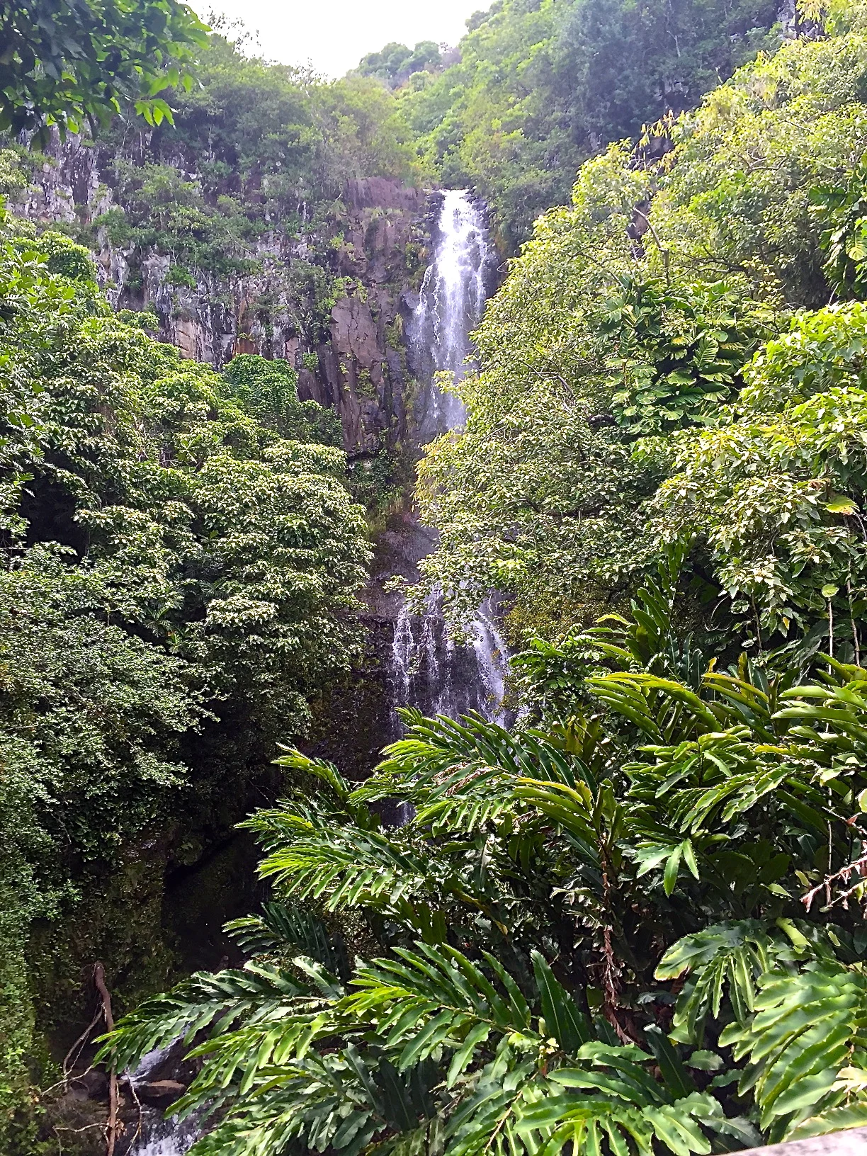Waterfalls of Oahu- Waimea Valley . Gorgeous.