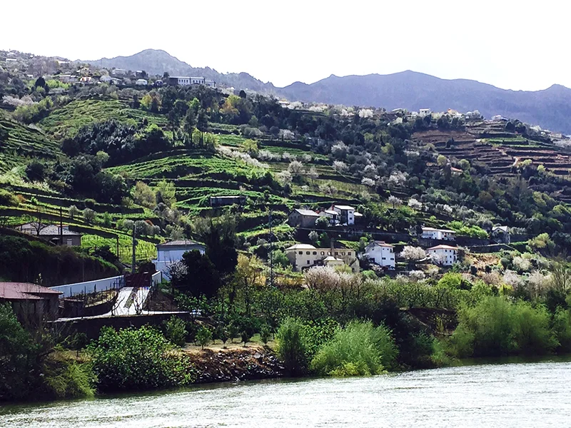 Douro river valley where all of the worlds port wines are from...