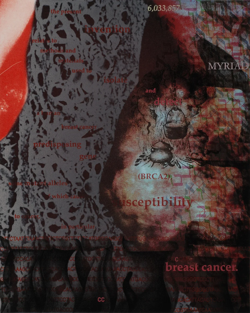 BRCA2: Myriad Susceptibilities 1