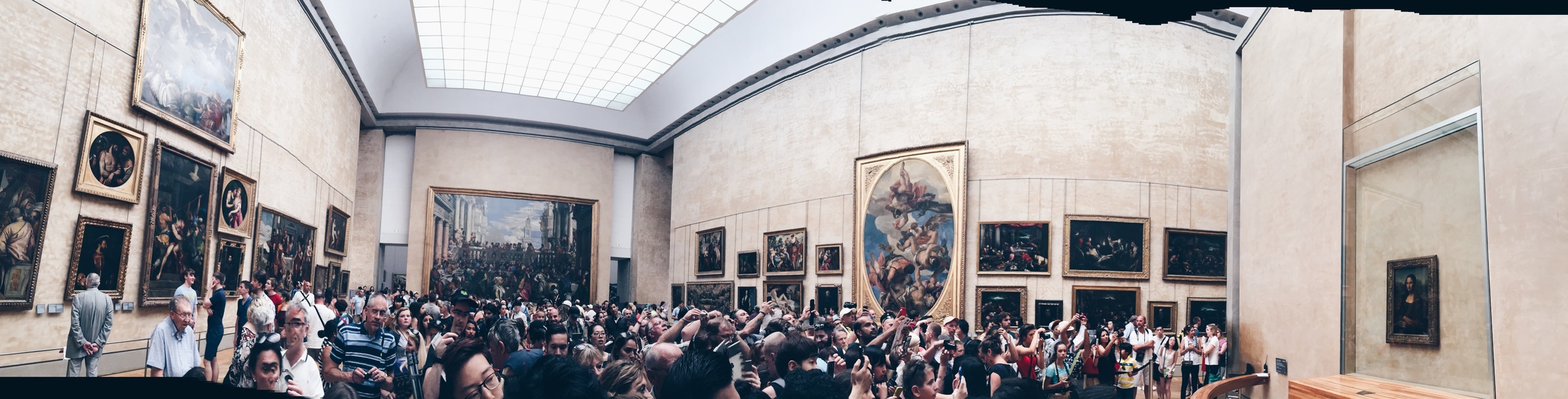 Mona's daily view. 