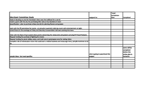 tt merchant com action plan.png
