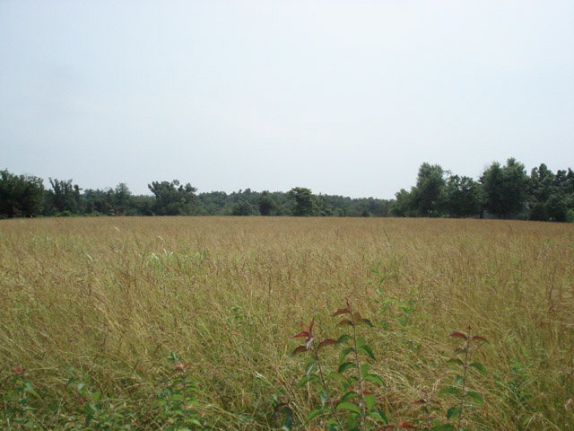235 Hwy 231 Beaver Dam, KY