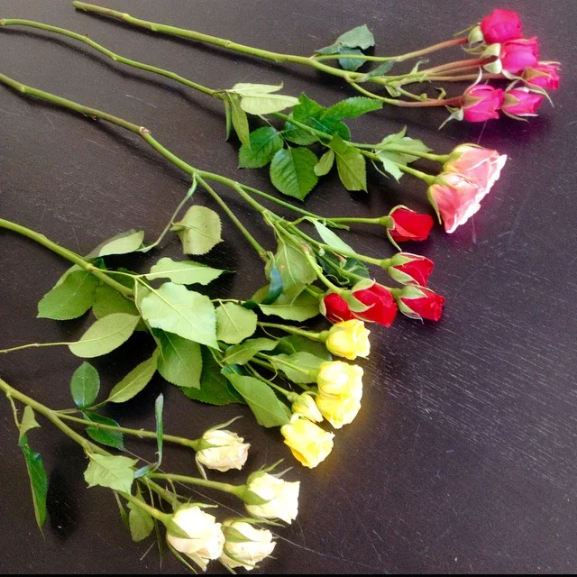 This week's $10 wrap bouquet will be five stems of romantic, candy-colored spray roses. Each bunch will feature a slightly different color palette and will positively scream SPRING! I mean, how can you say no to these sun-dappled beauties? They're available for pick-up Wednesday though Saturday. Call us at 218-728-1455 to let us know the number of bouquets you'll be needing, as well as which day you'll be in to pick them up. See you soon!