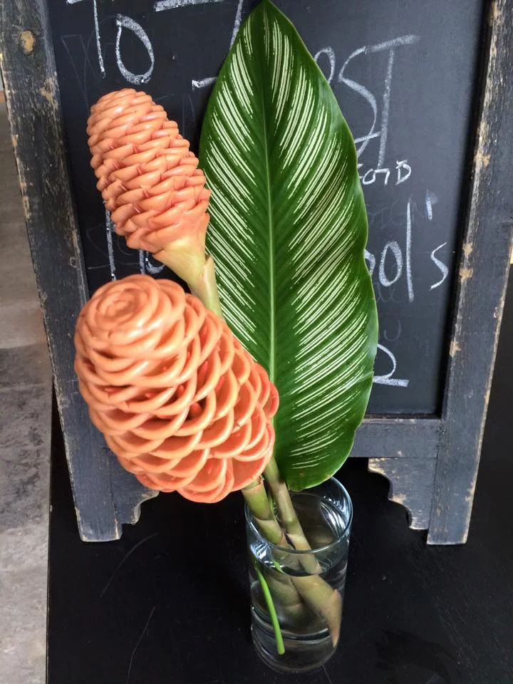 This week's wrap bouquet will be 2 stems of beehive ginger with one attractive tropical foliage leaf. This combo smells amazing, and is very curious looking! If it piques your interest, call us at 218-728-1455 and let us know the number of bouquets you'll be needing, as well as which day you'd like to pick it up. See you soon!