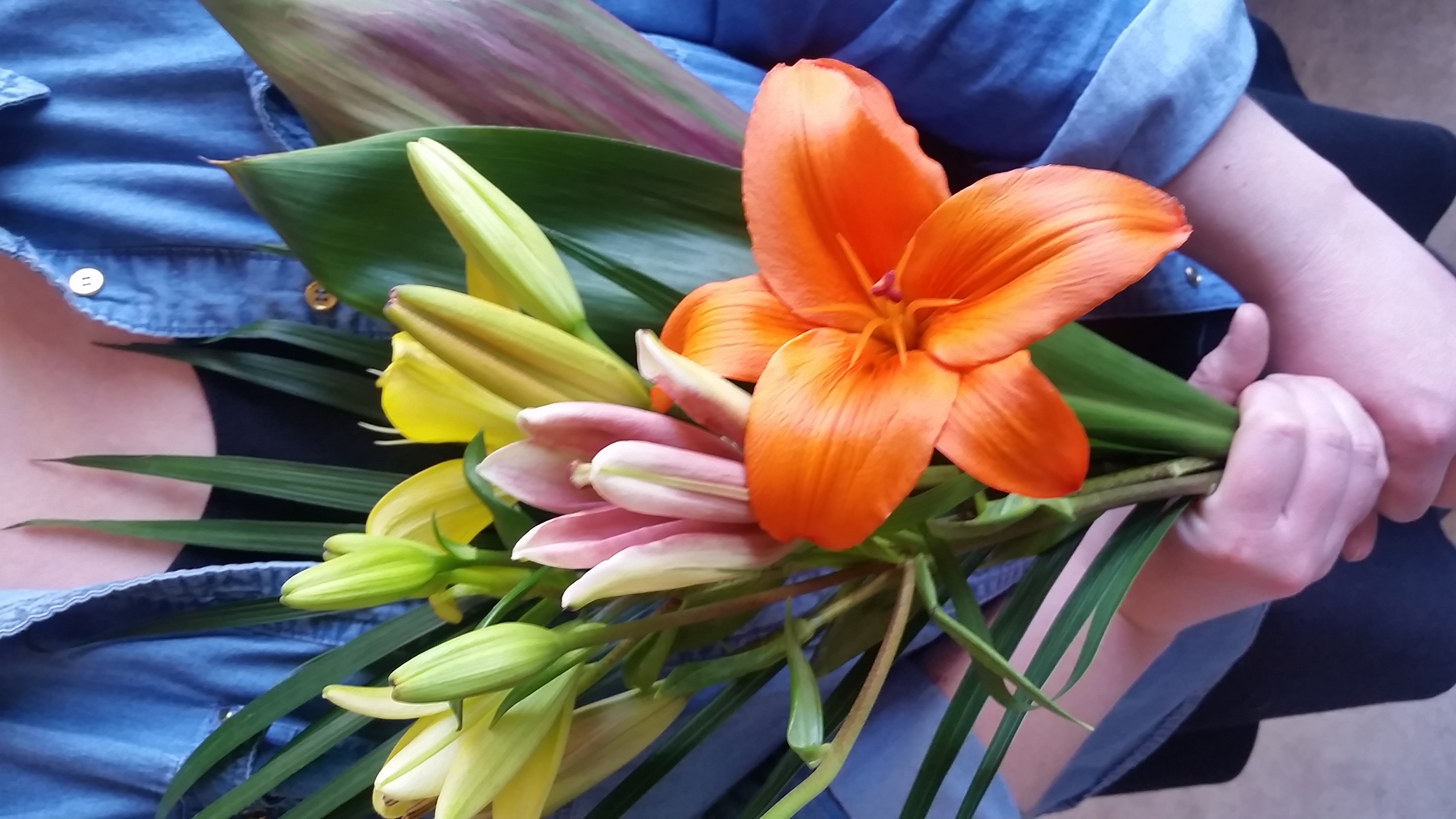 This week's $10 wrap bouquet is PERFECT for Mother's Day! It's comprised of three fragrant and lovely asiatic lilies and a few stems of awesome tropical foliage! Limited to five bouquets per person. Call us at 218-728-1455 with the number of bouquets you'll be needing, as well as the day you'd like to pick up!