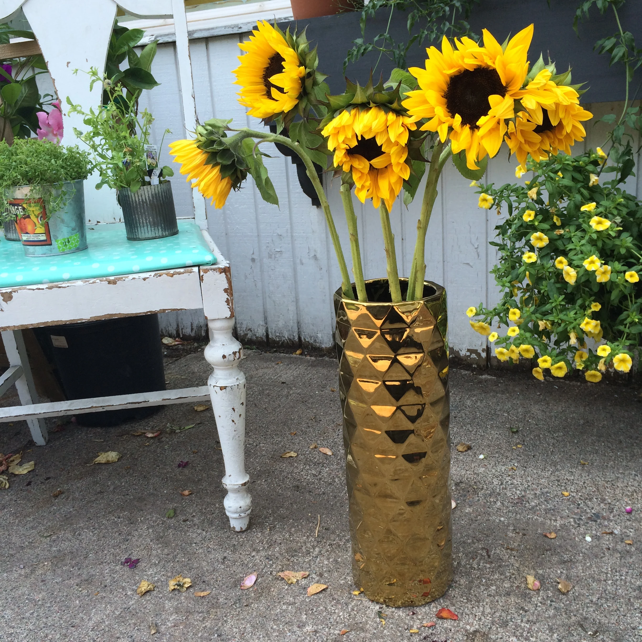 This week's $10 wrap bouquet is five bright & summery sunflowers! Call us with the number of bouquets you'll be needing, as well as the day you'd like to pick up. See you soon!