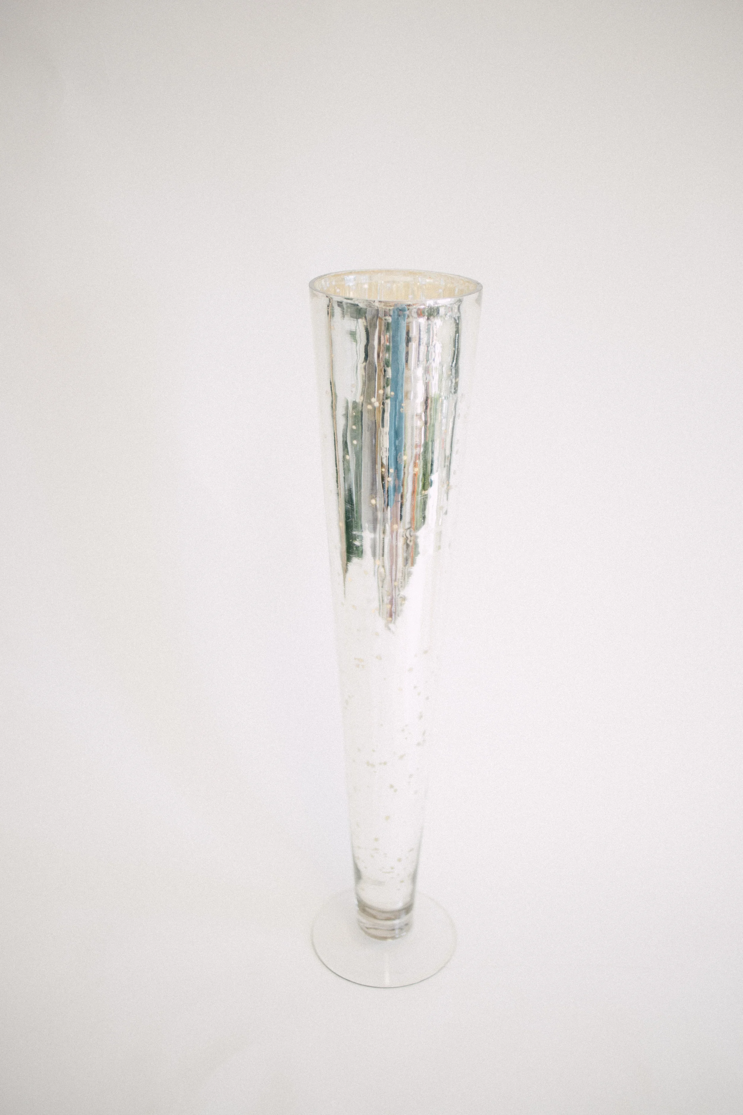 Mercury Glass Pilsner