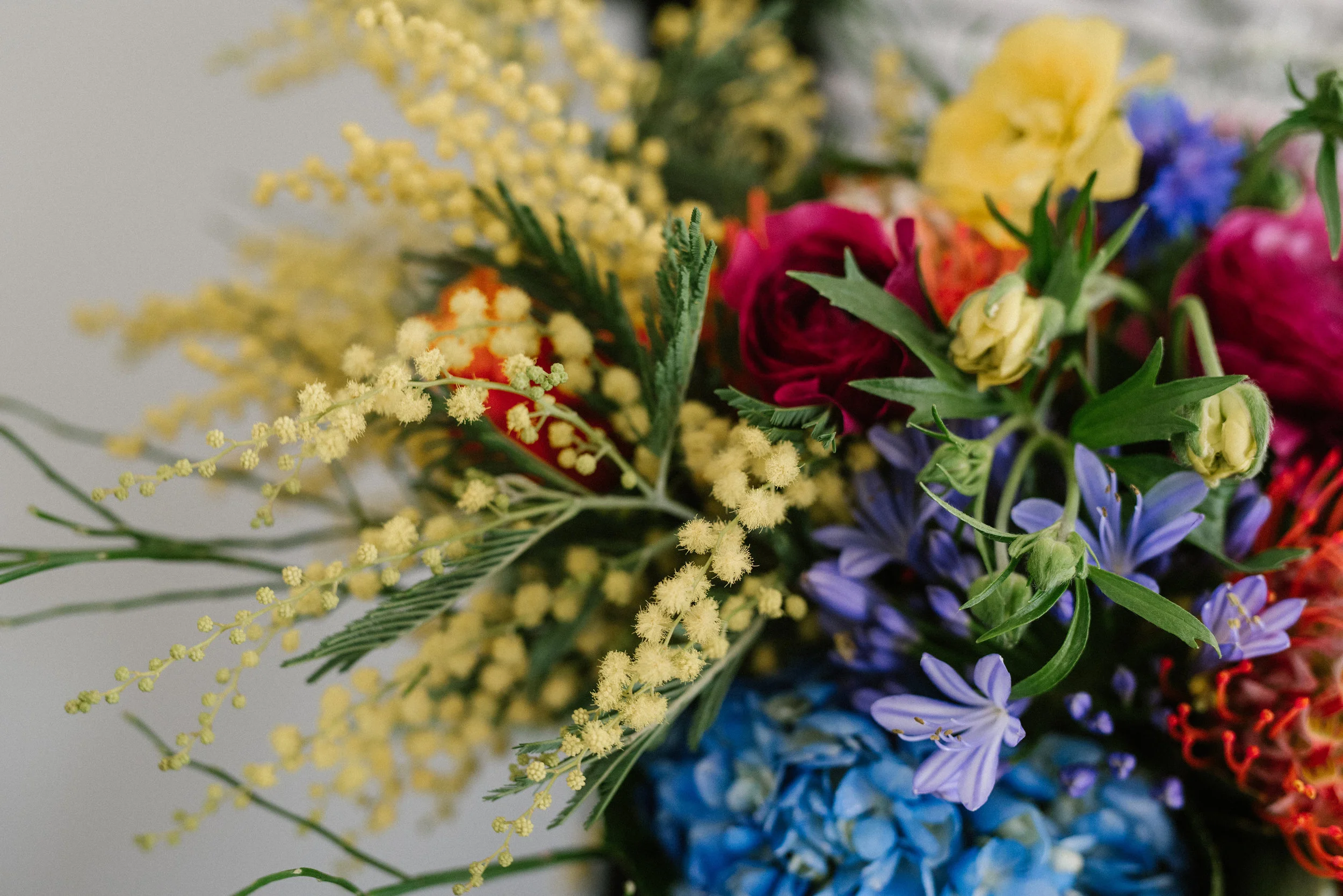 valentinesaffron-49.jpg