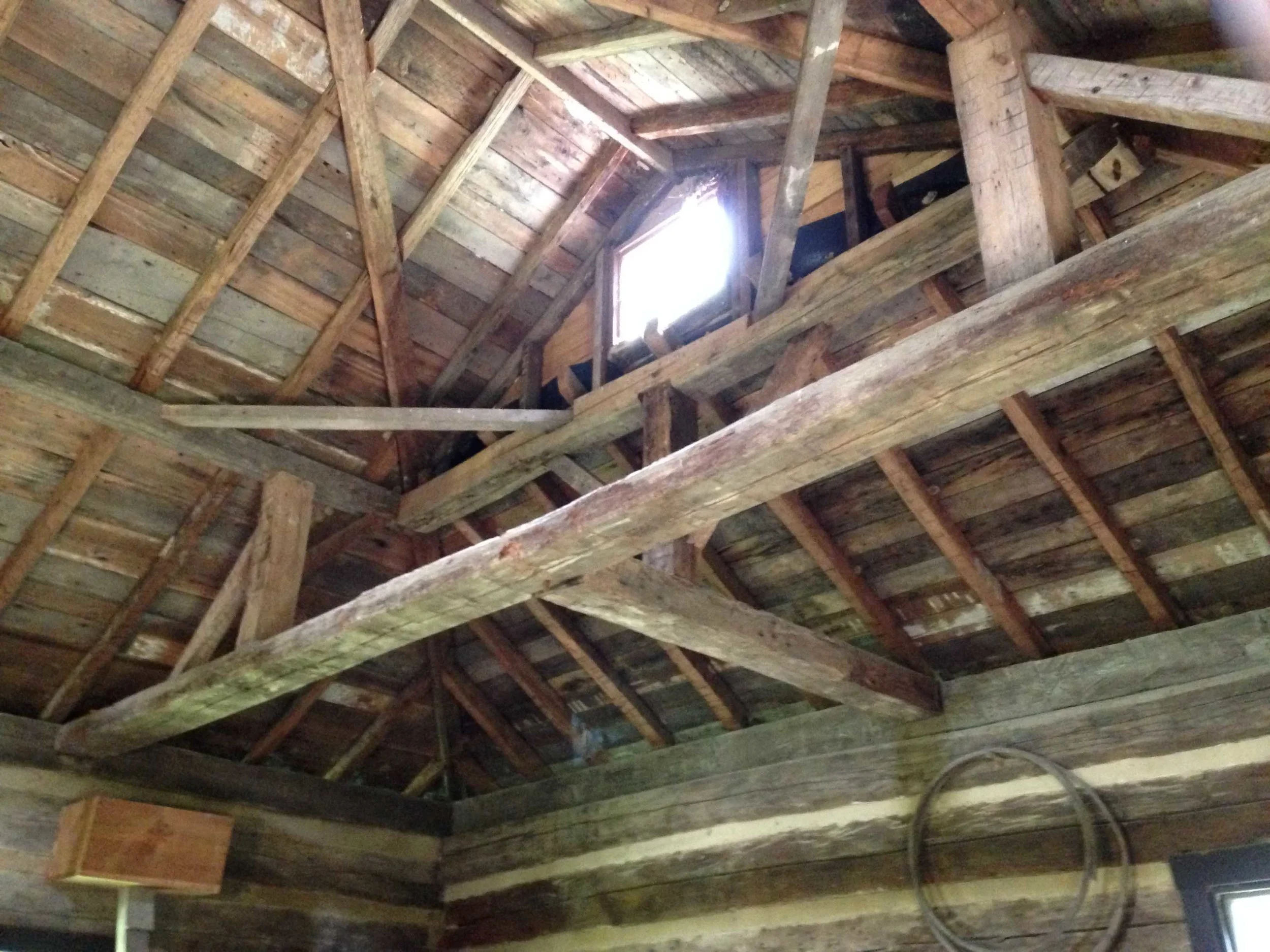 2014-06-22 15.20.25.jpg