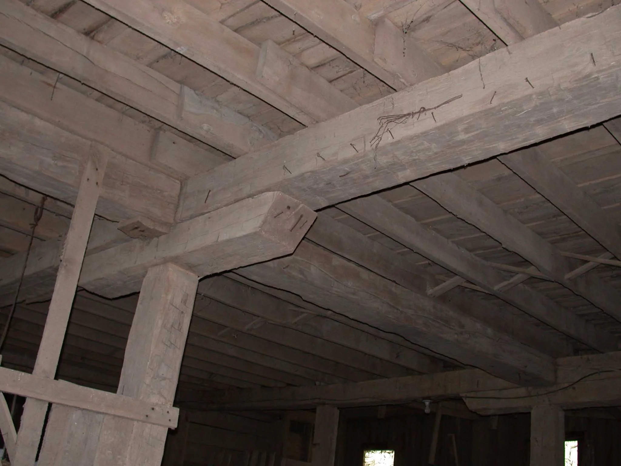 DSCN8553.jpg