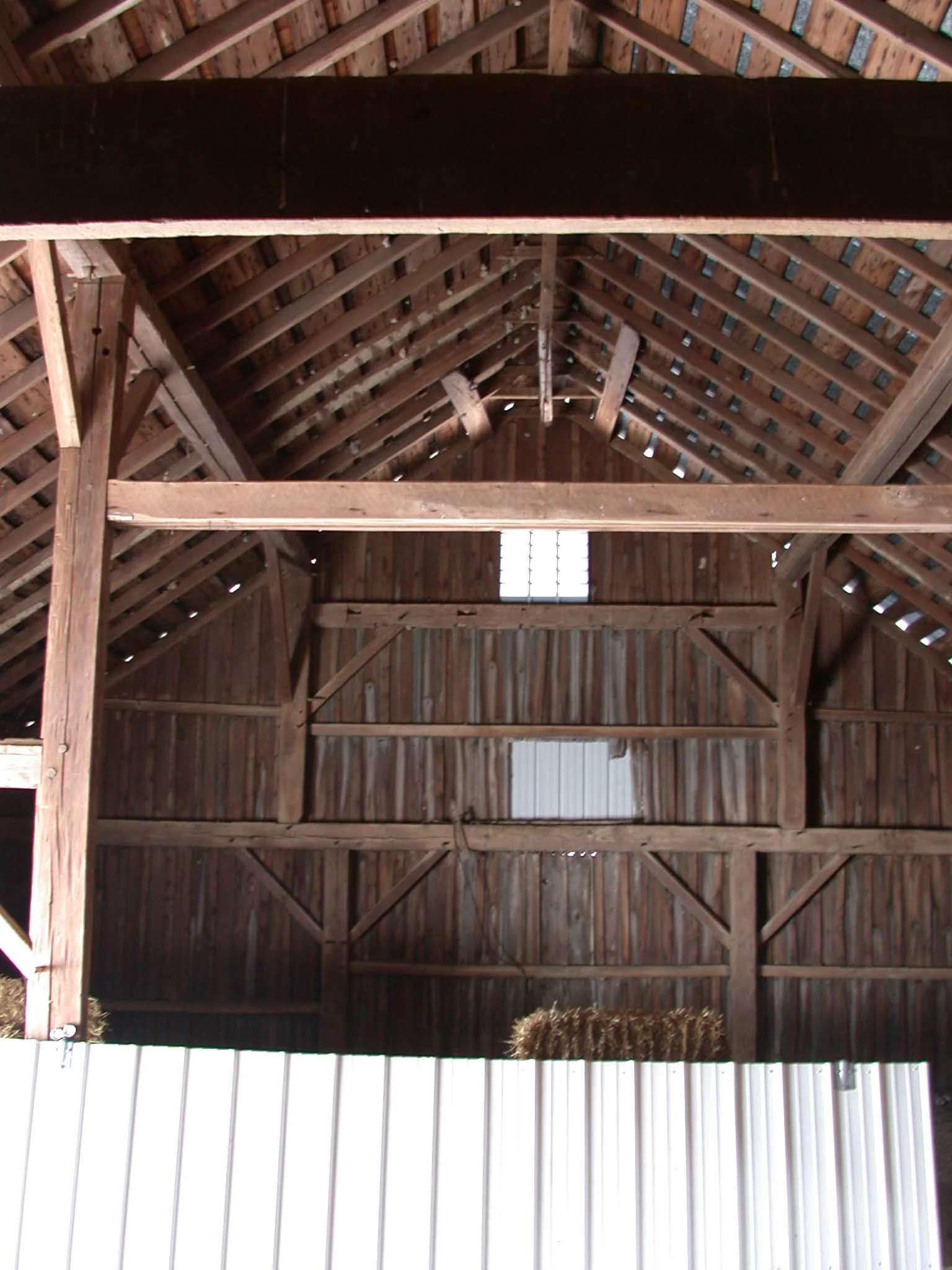 DSCN8667.jpg