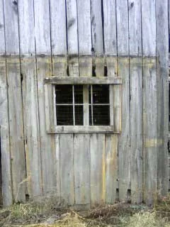 steves phone 2501.jpg