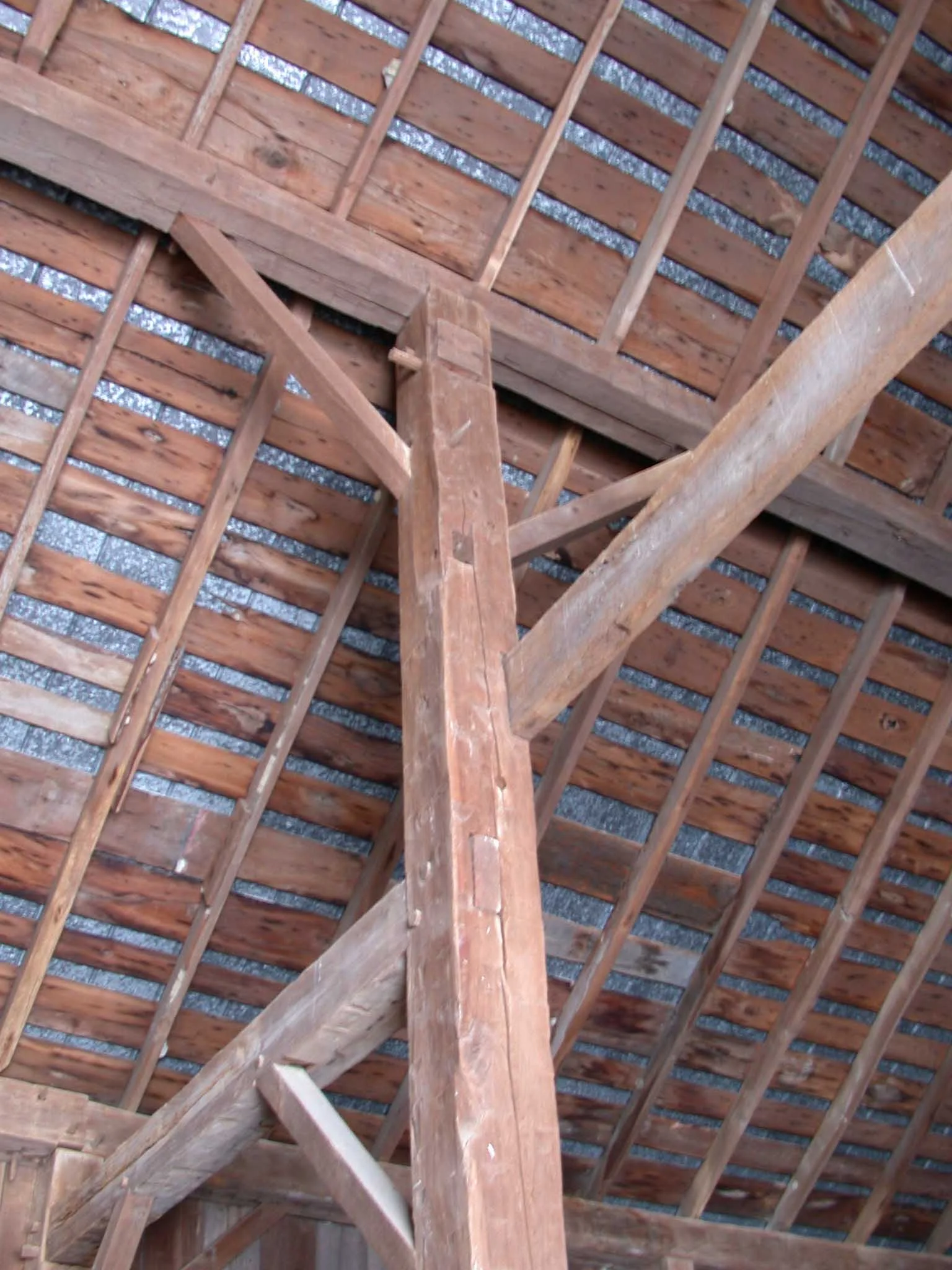 DSCN8678.jpg
