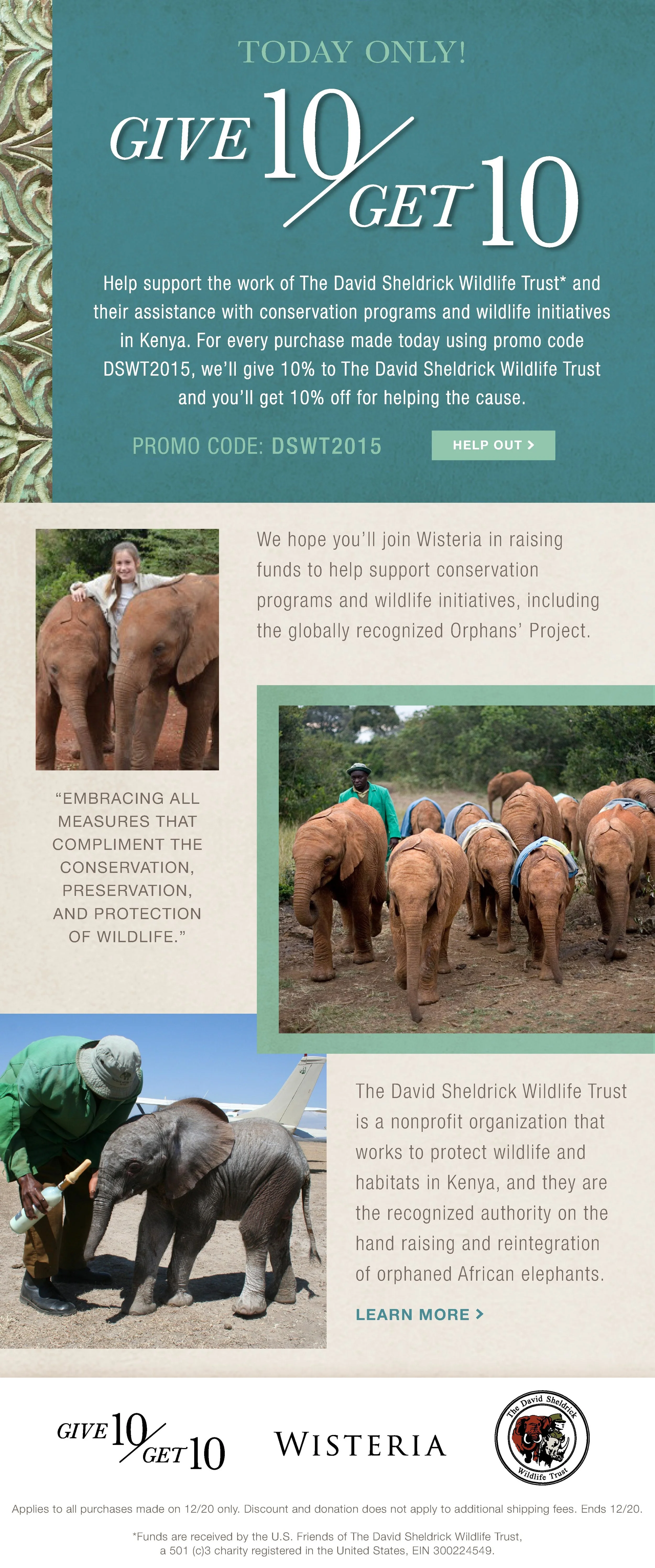 2258-EMAIL-Sheldrick Wildlife Trust-Give 10 Get 10 (1).jpg