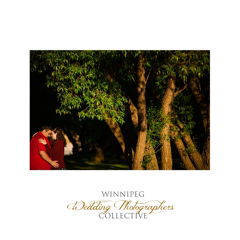 Sunset Engagement Shoot in St Norbert Heritage Park03.jpg
