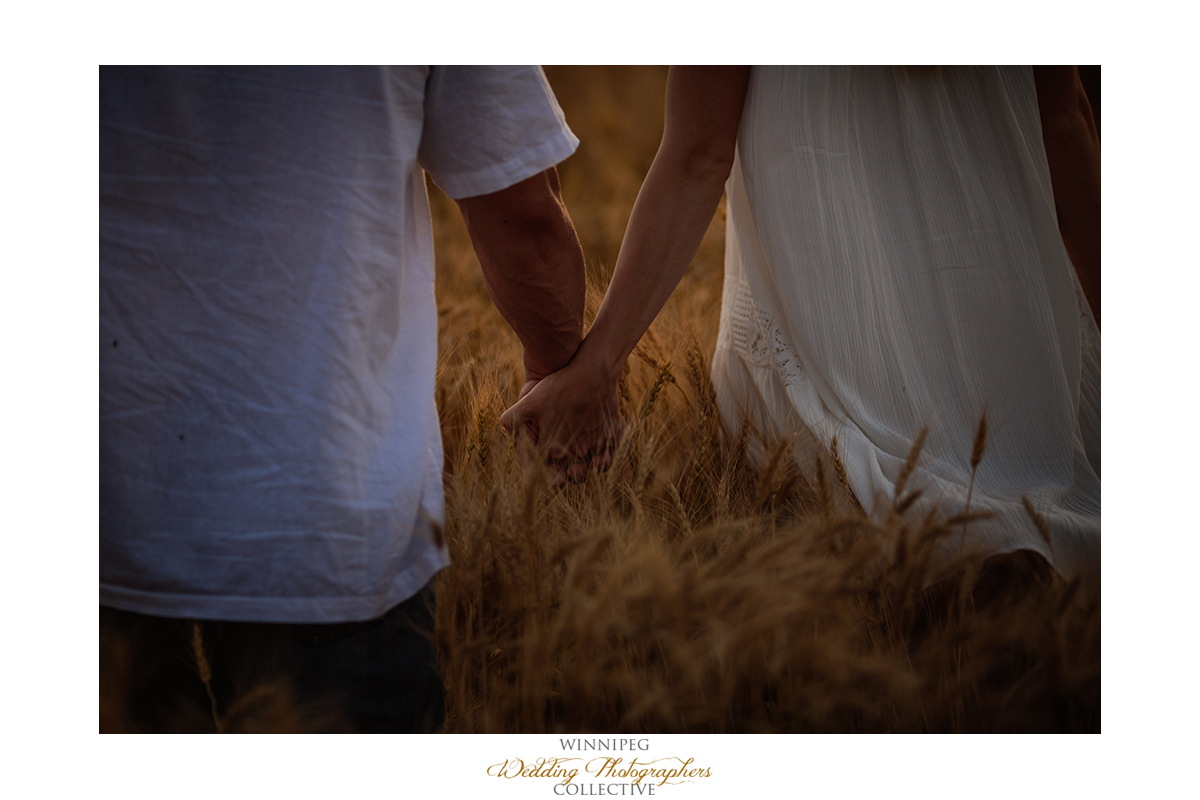 10_Farm Life Engagement Photos Wheat Sunflowers Field Sunset.jpg