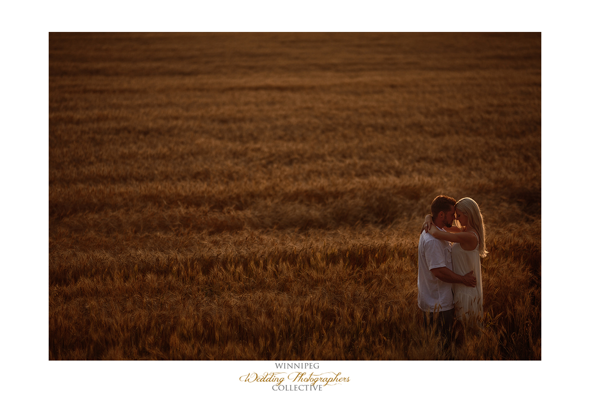 11_Farm Life Engagement Photos Wheat Sunflowers Field Sunset.jpg