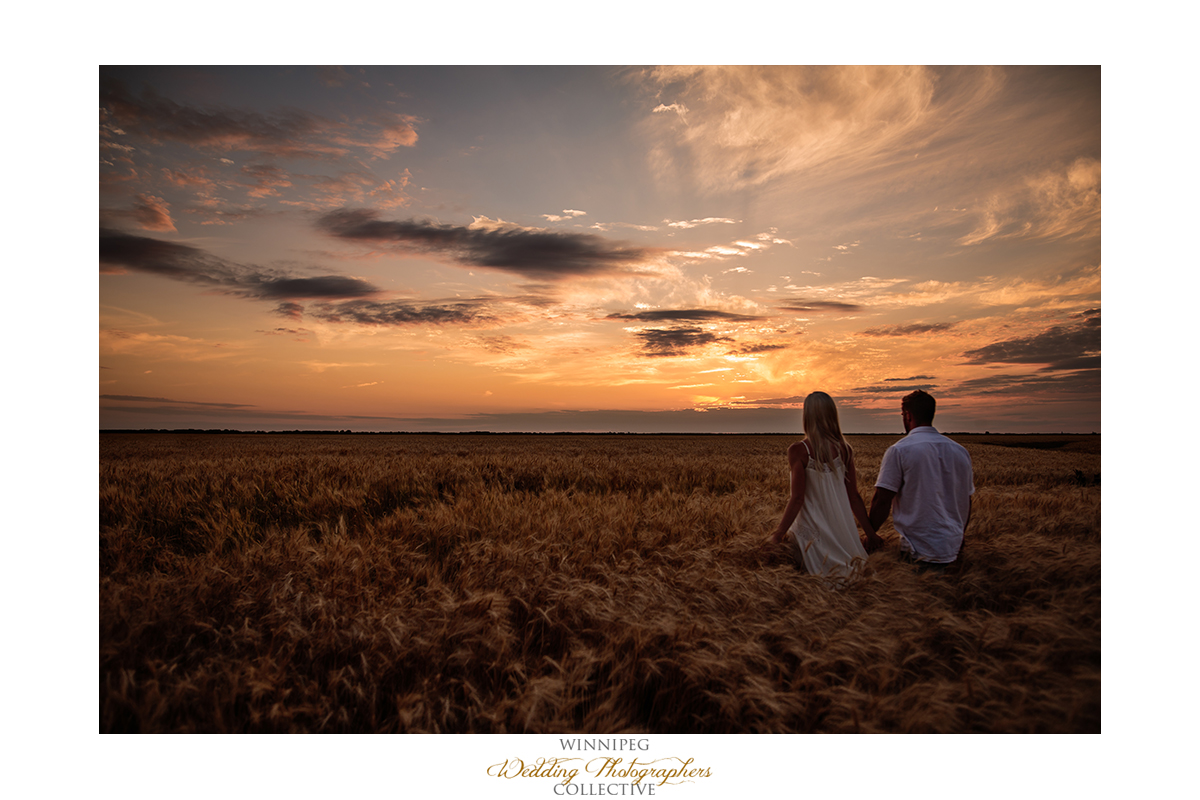 sunset engagement photos wheat field