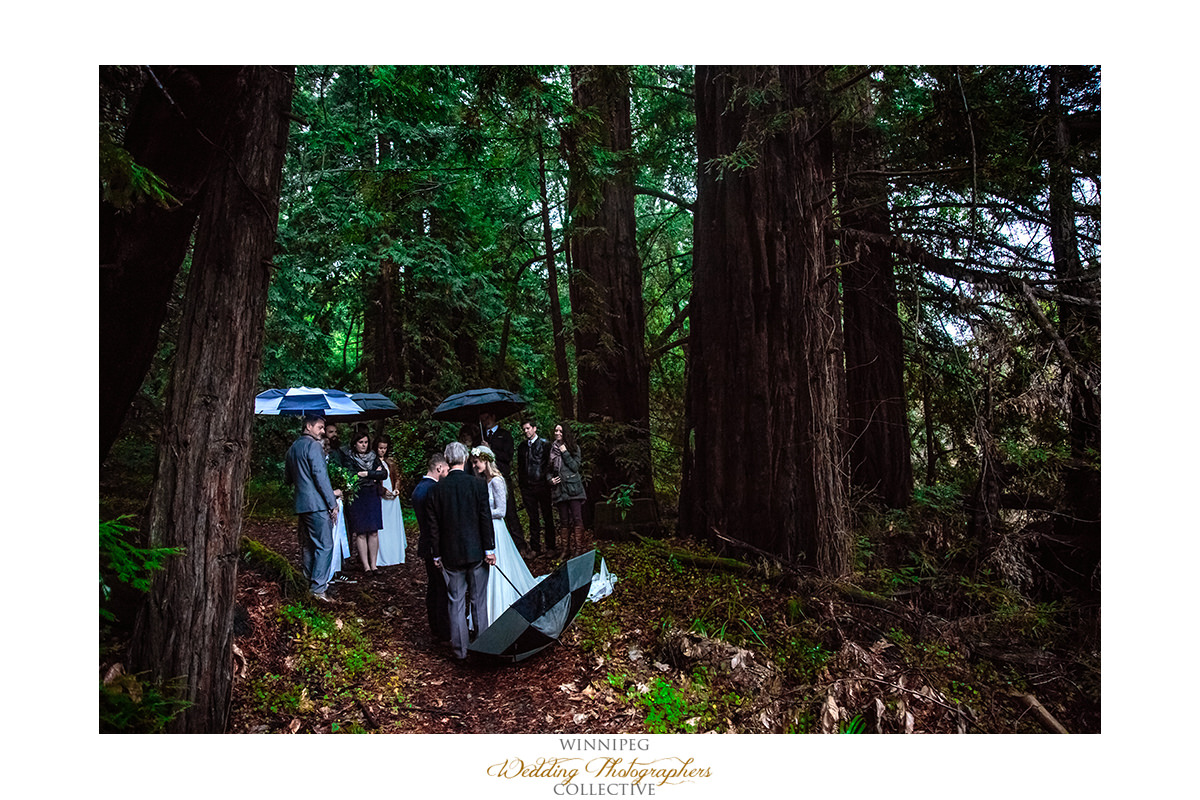 Big Sur California Rainy Wedding Elope Elopement Fit_017.jpg