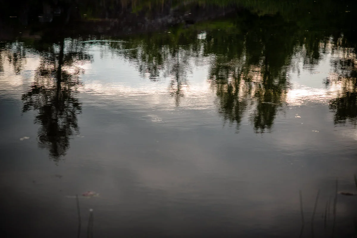 Jae+Kevin_Engaged_Pinawa(C)-04.jpg