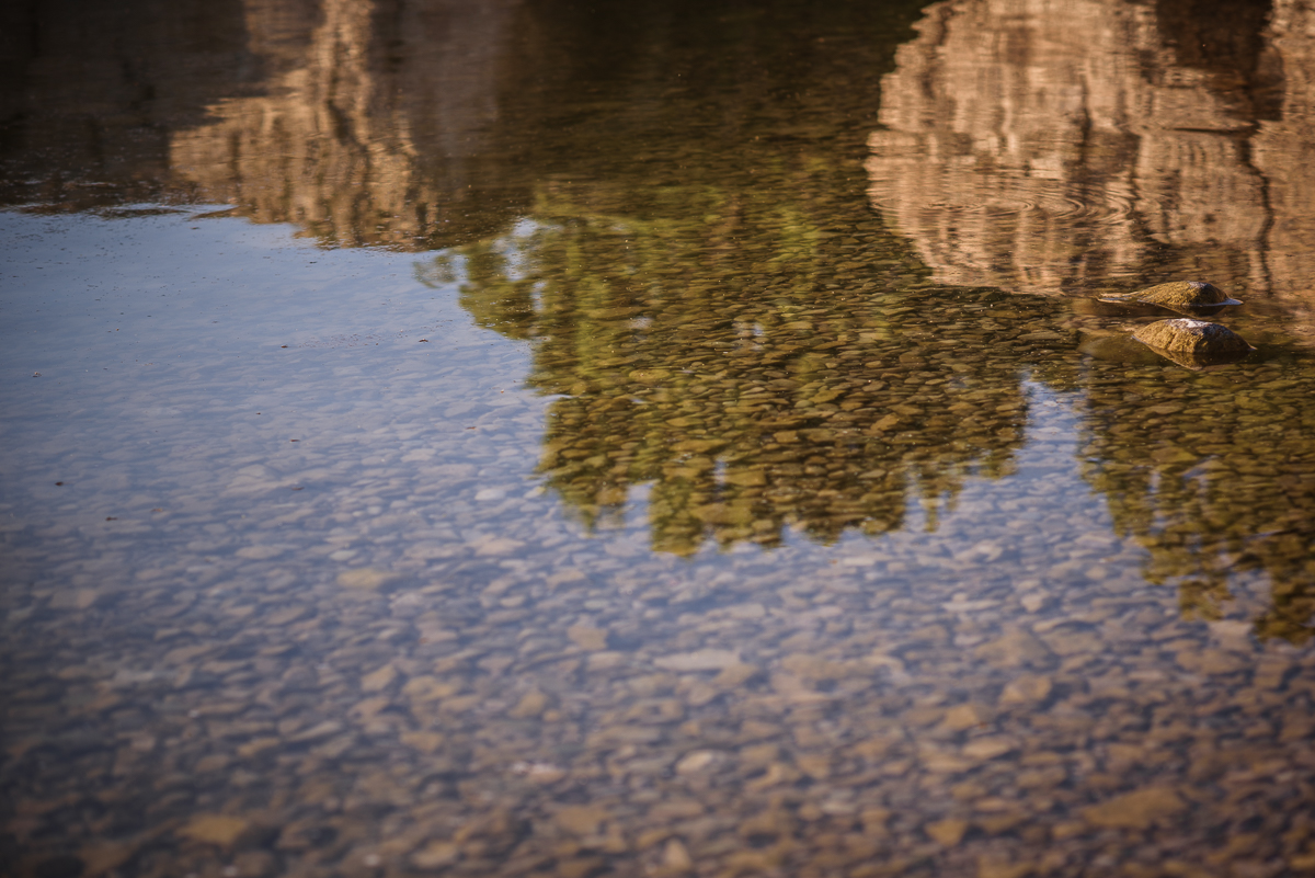 Sarah+Steve_Engaged_SteepRock(C)-14.jpg