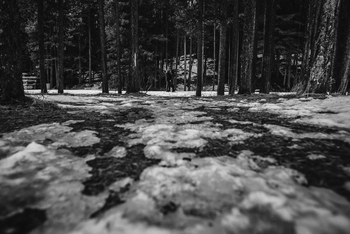 Ulyana+Taras_Engaged_Banff(C)-09.jpg