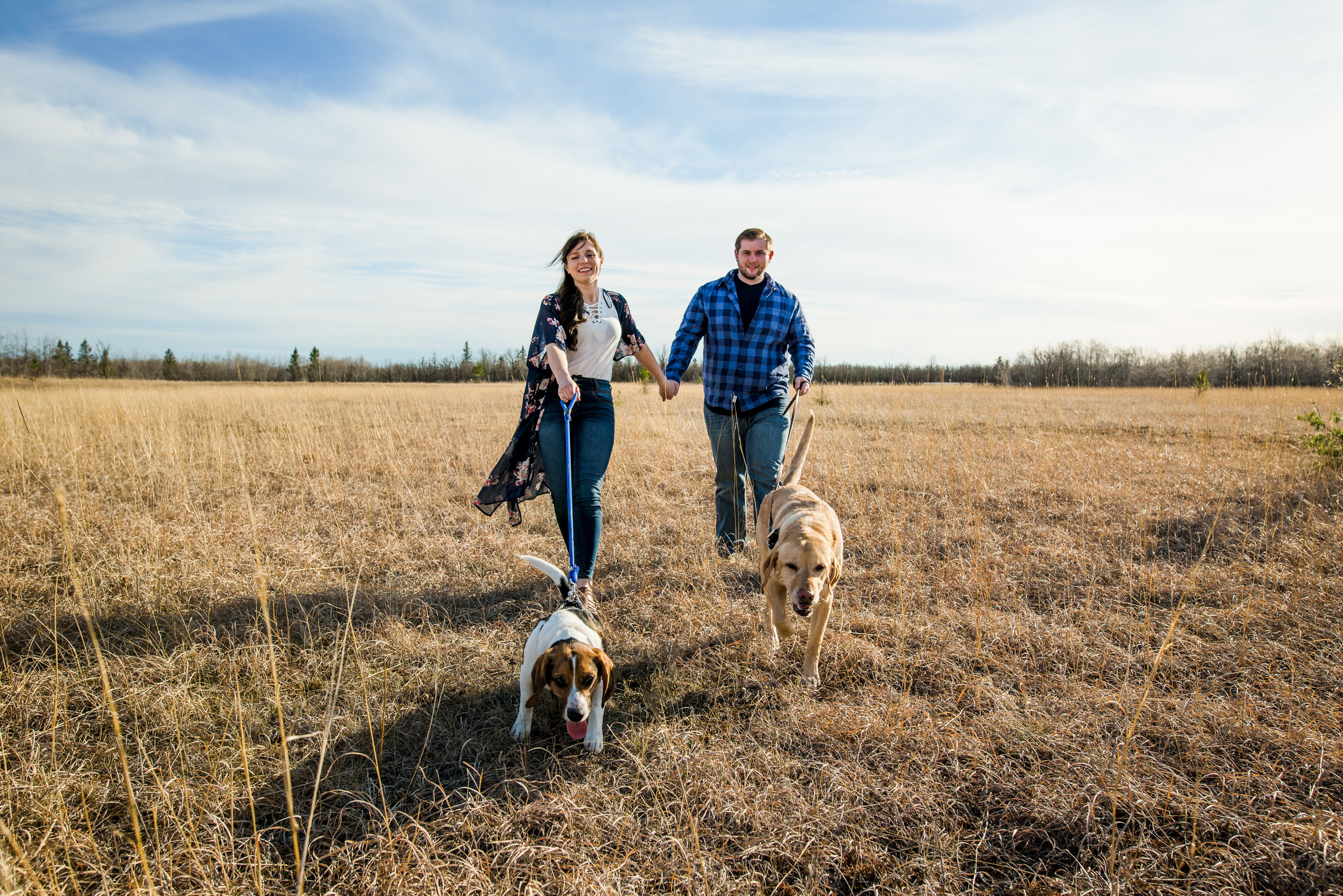 Engagement photos with dogs