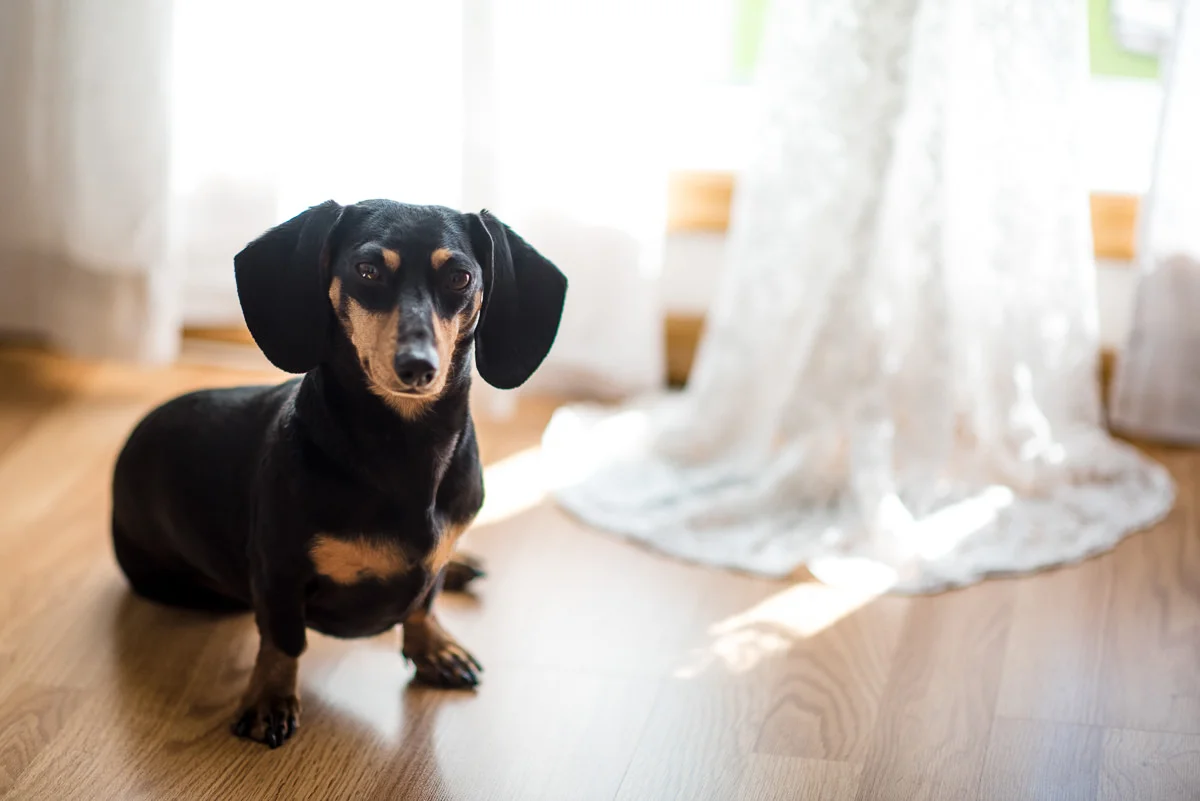 Lindsay+Dustin_St.BonifaceGC(C)-03.jpg