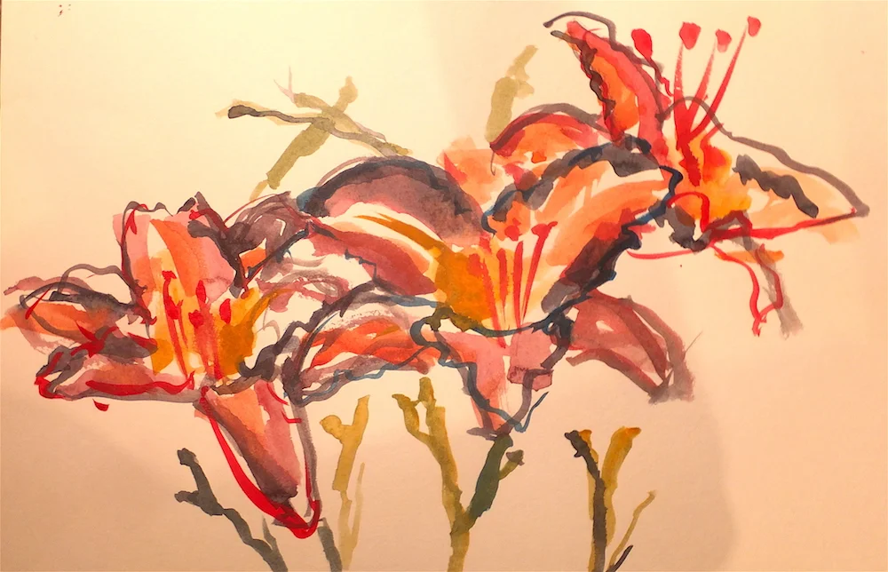 marilynne bradley, lilies
