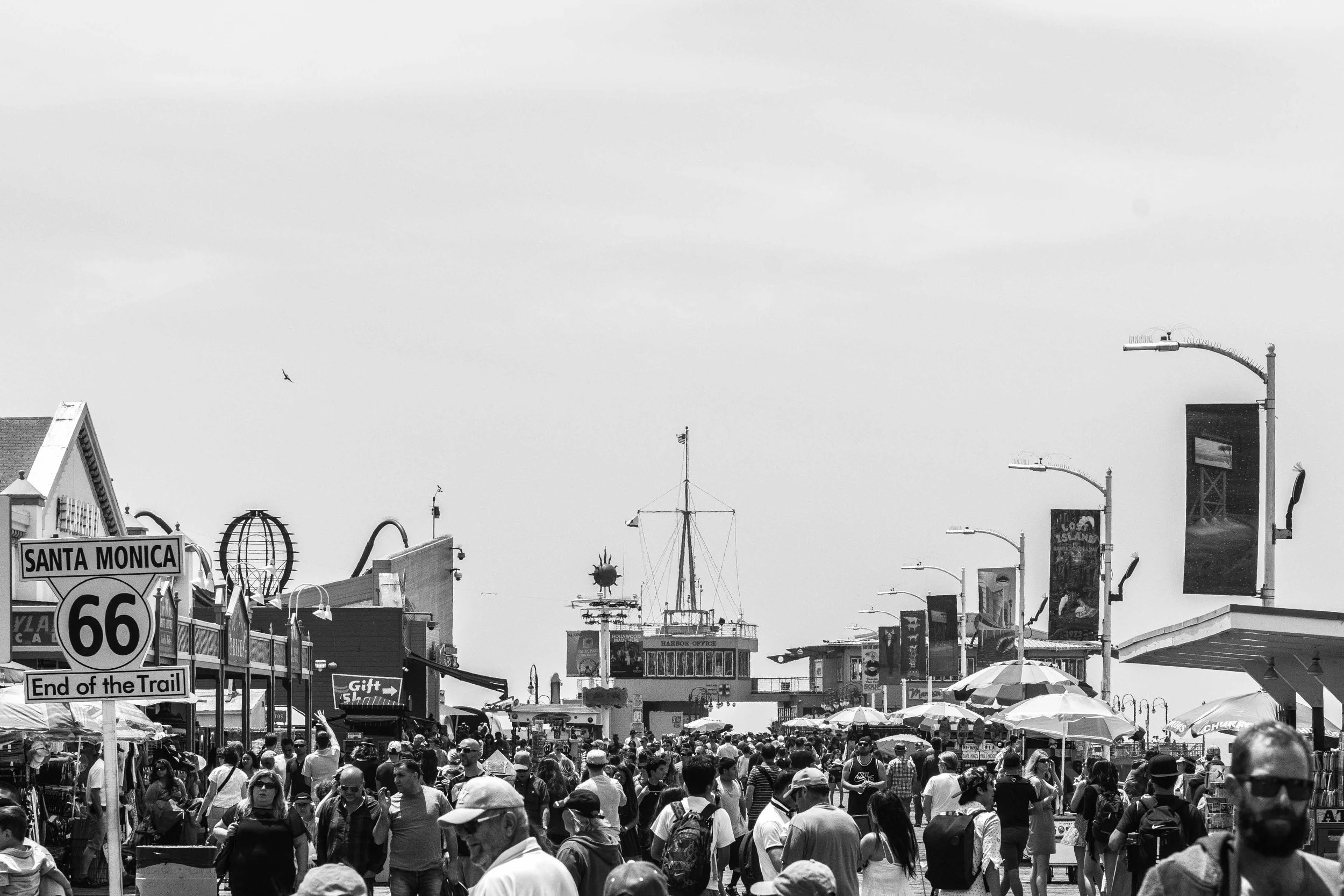 DSC_0736.jpg