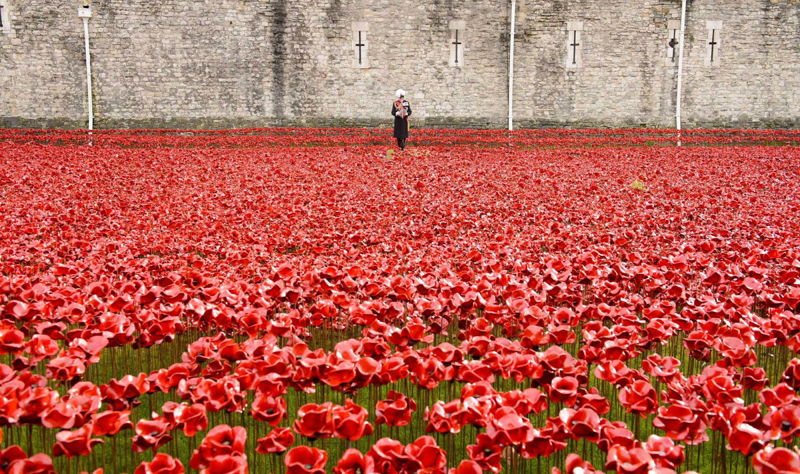 The Blood Swept Lands and Seas of Red poppy installation at The Tower of London on Armistice Day in London. Source: Jonathan Hordle/Rex.