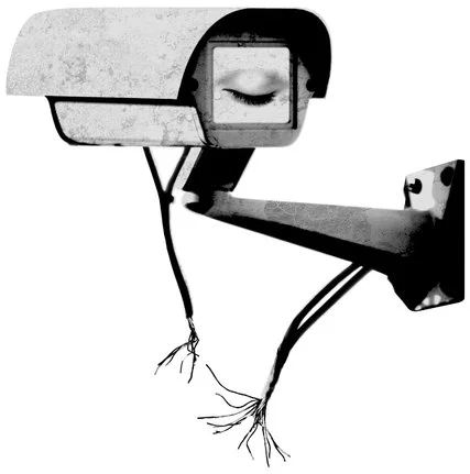 Image courtesy of The New York Times