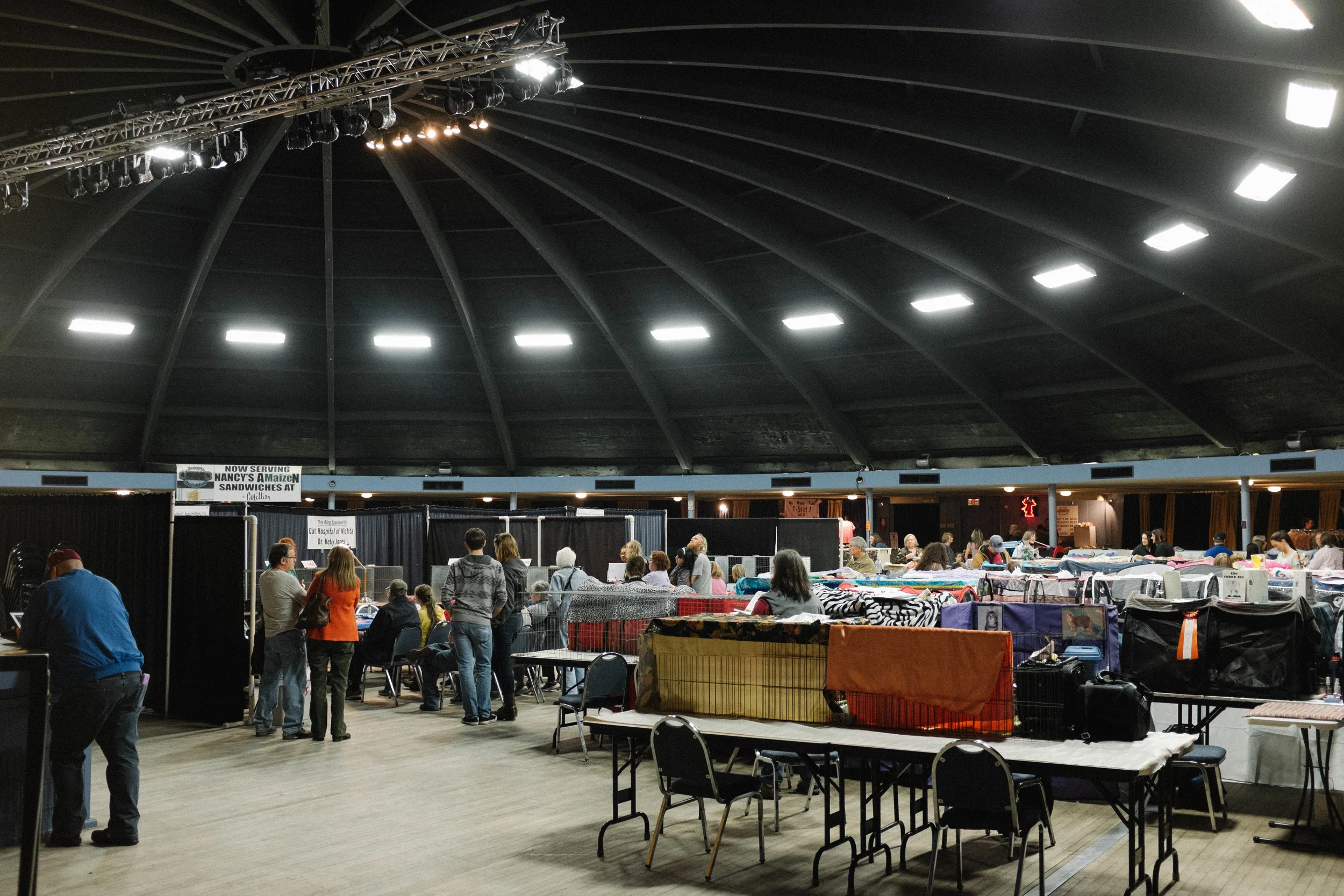 My first view of the cat show as I walked in.