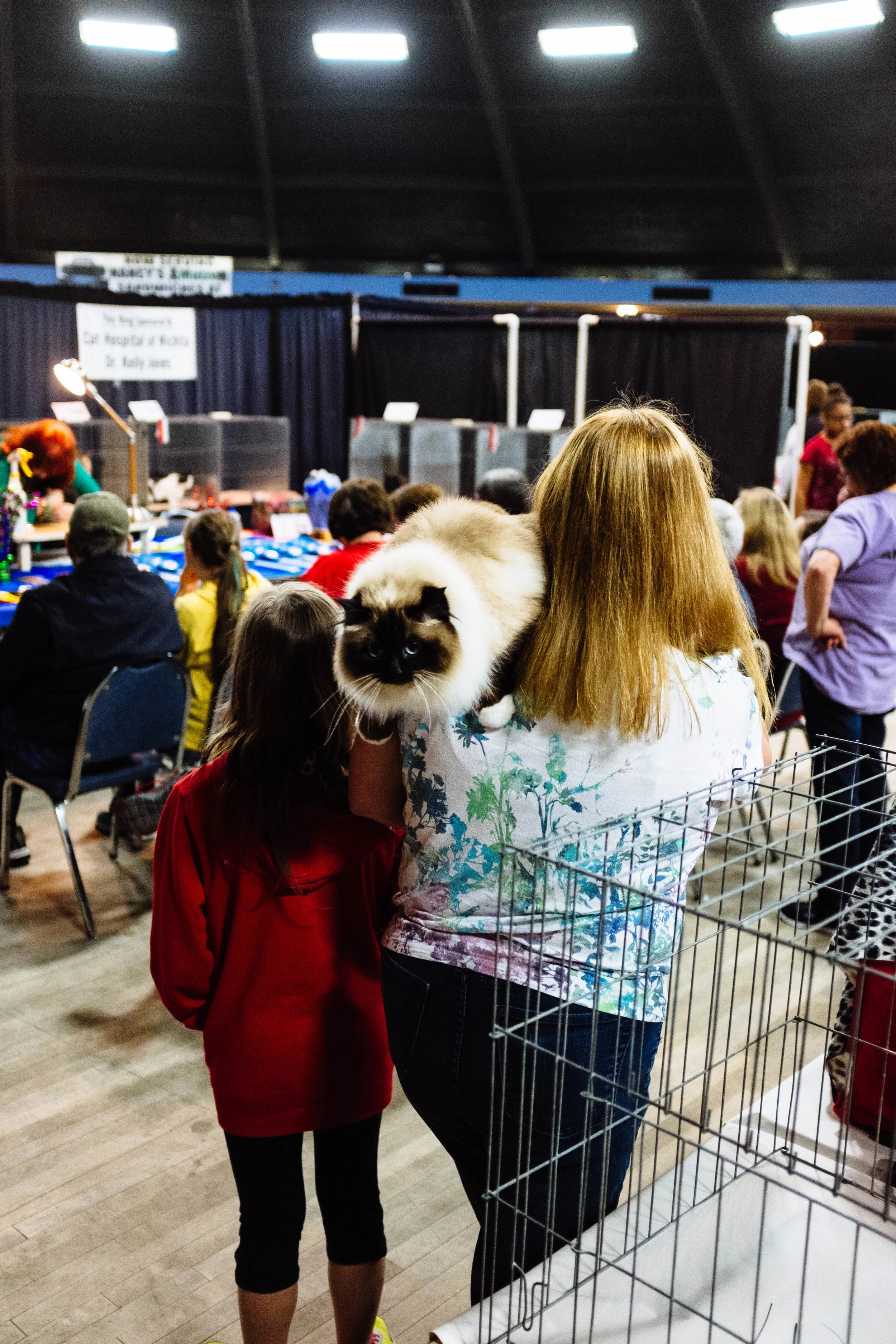 WICHITA CAT SHOW_2015-17.jpg