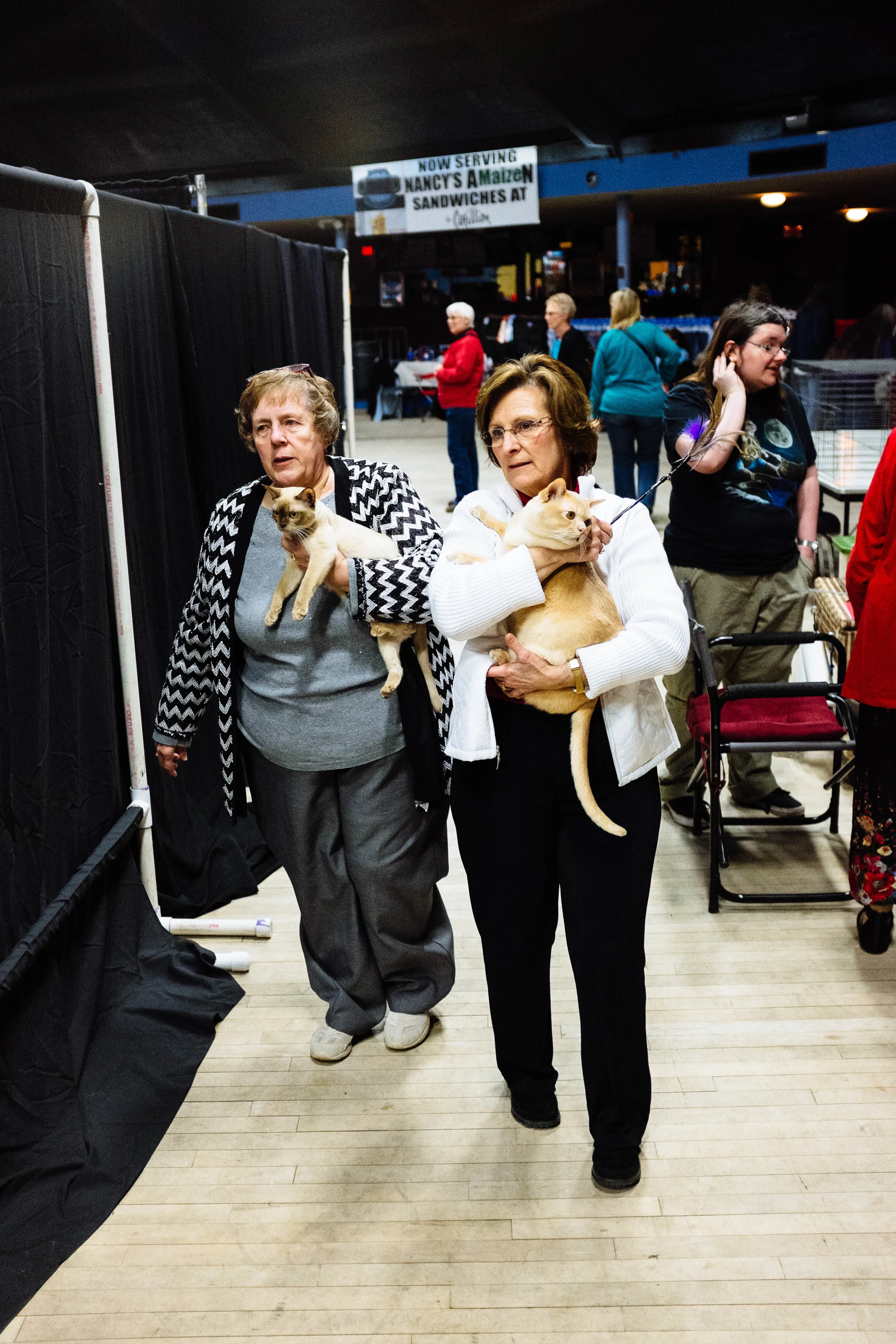 WICHITA CAT SHOW_2015-21.jpg