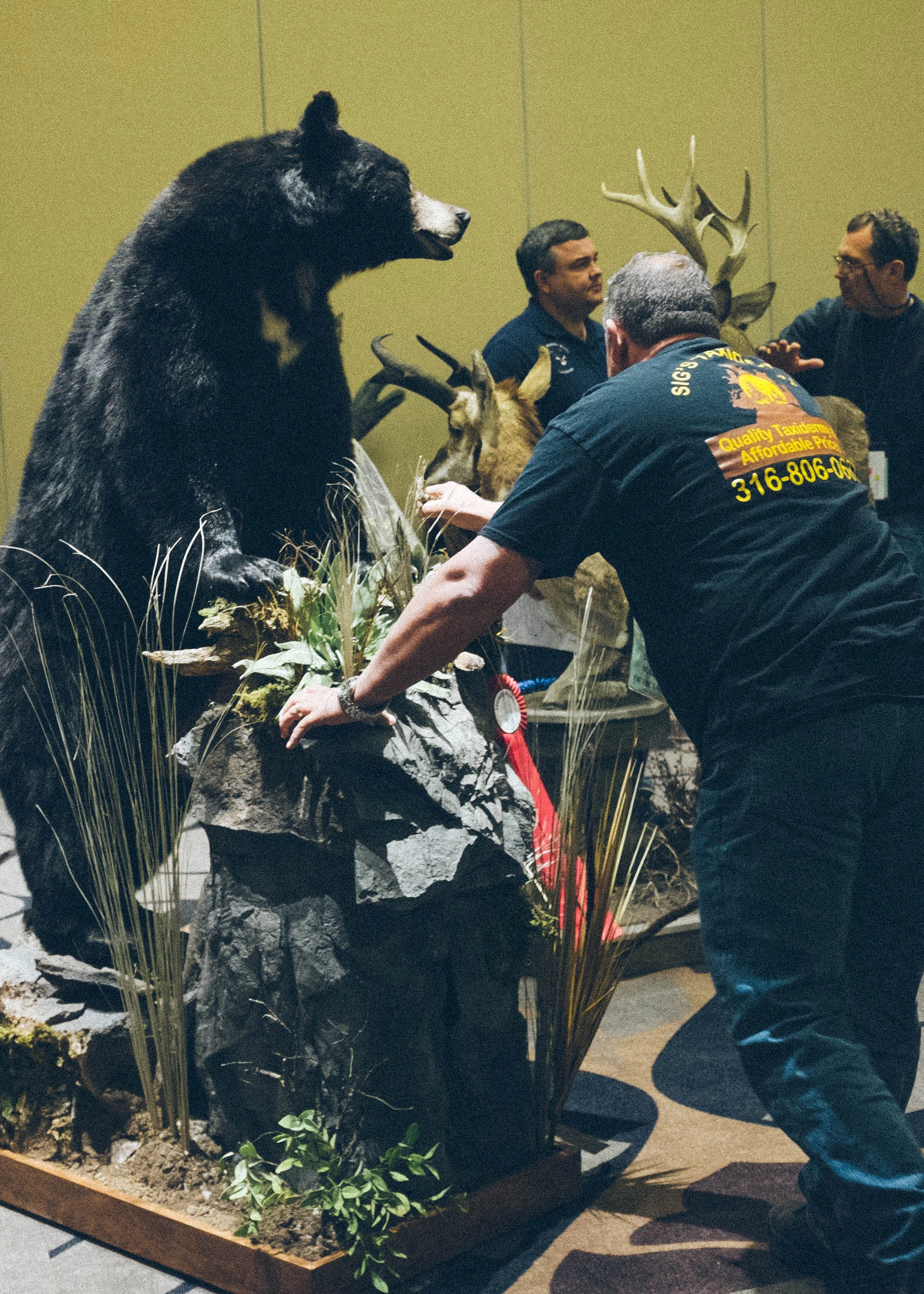 Taxidermy Show_03-29-15-17.jpg
