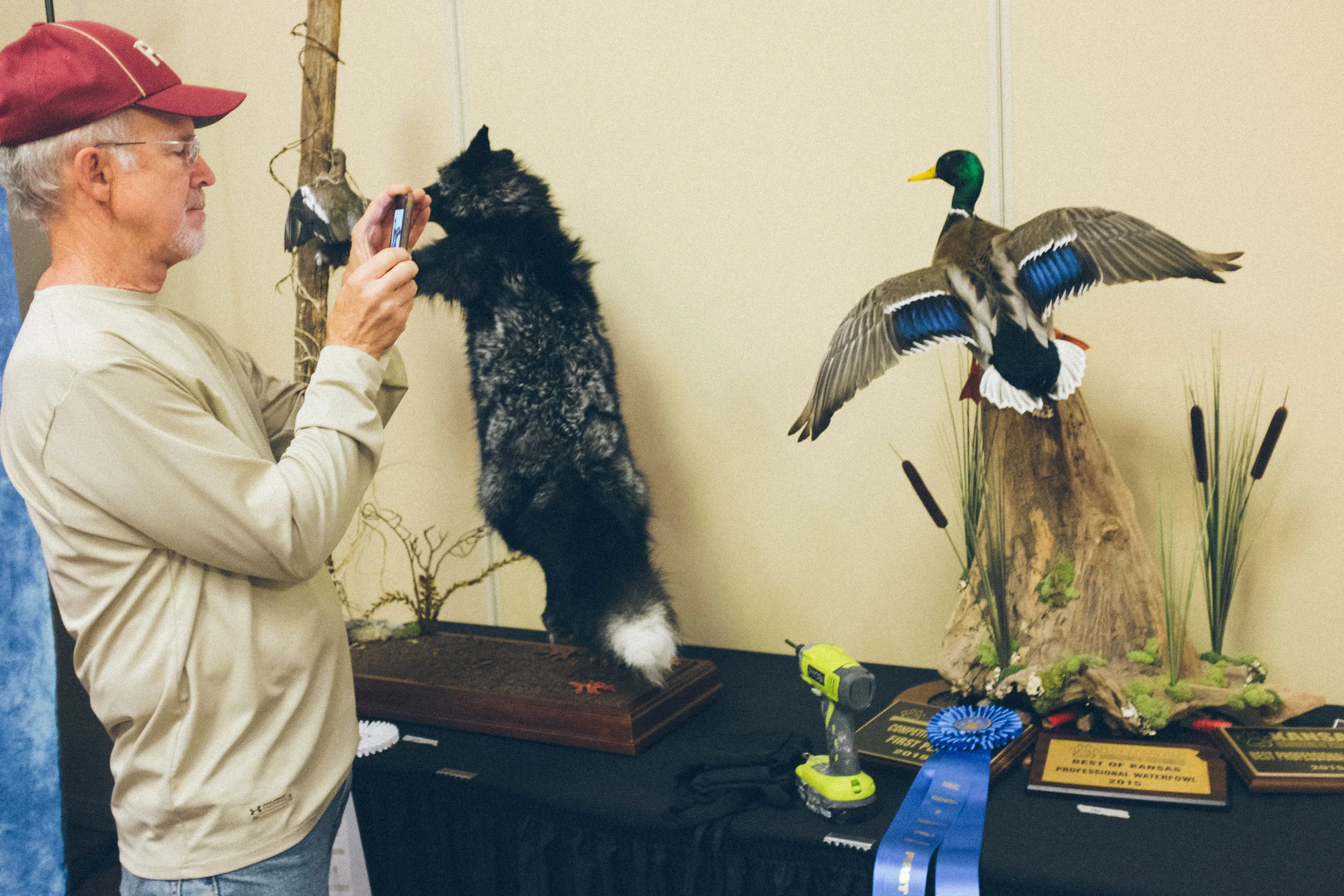 Taxidermy Show_03-29-15-19.jpg