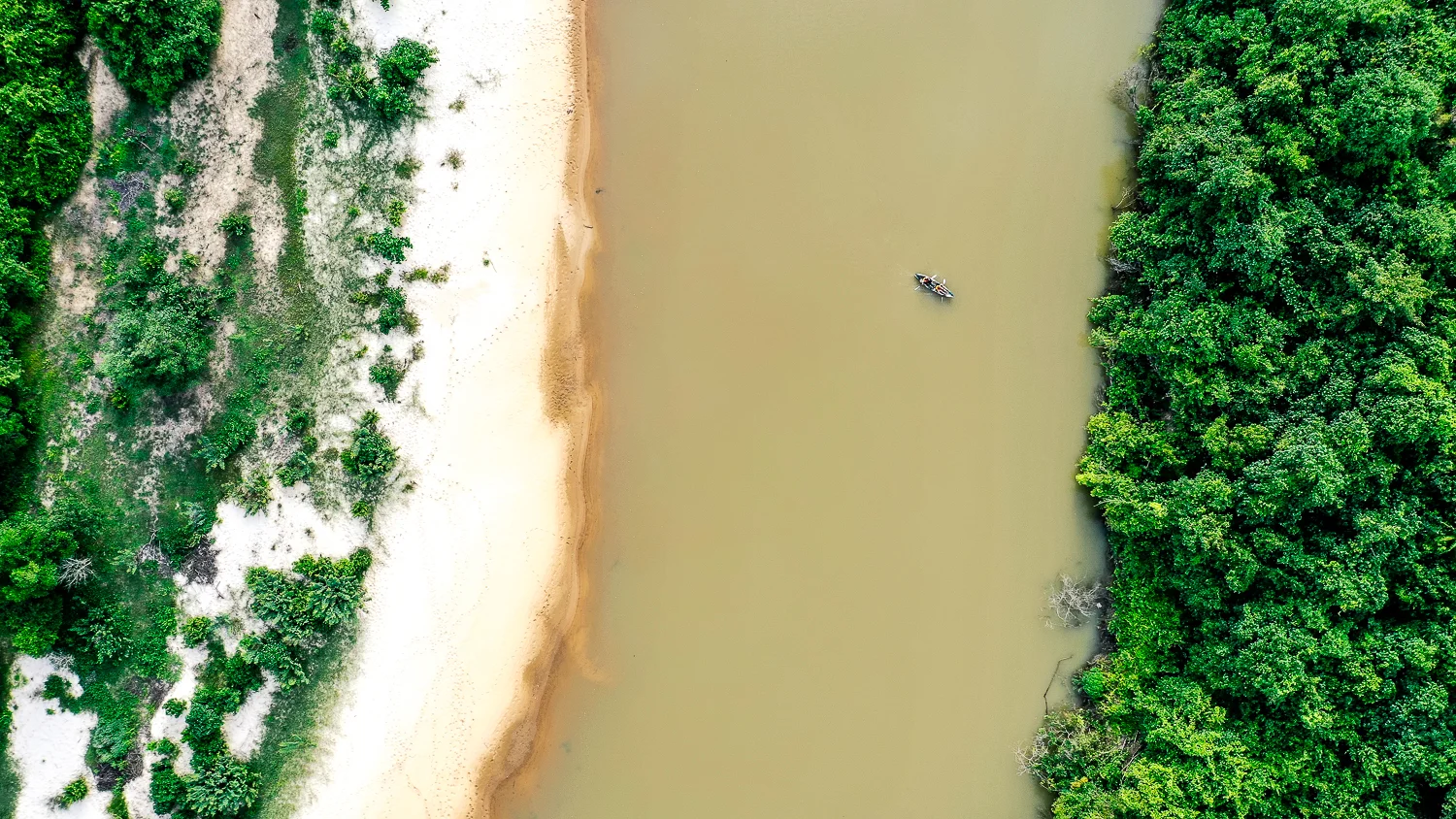 Wild-Drone-NLee-85.jpg
