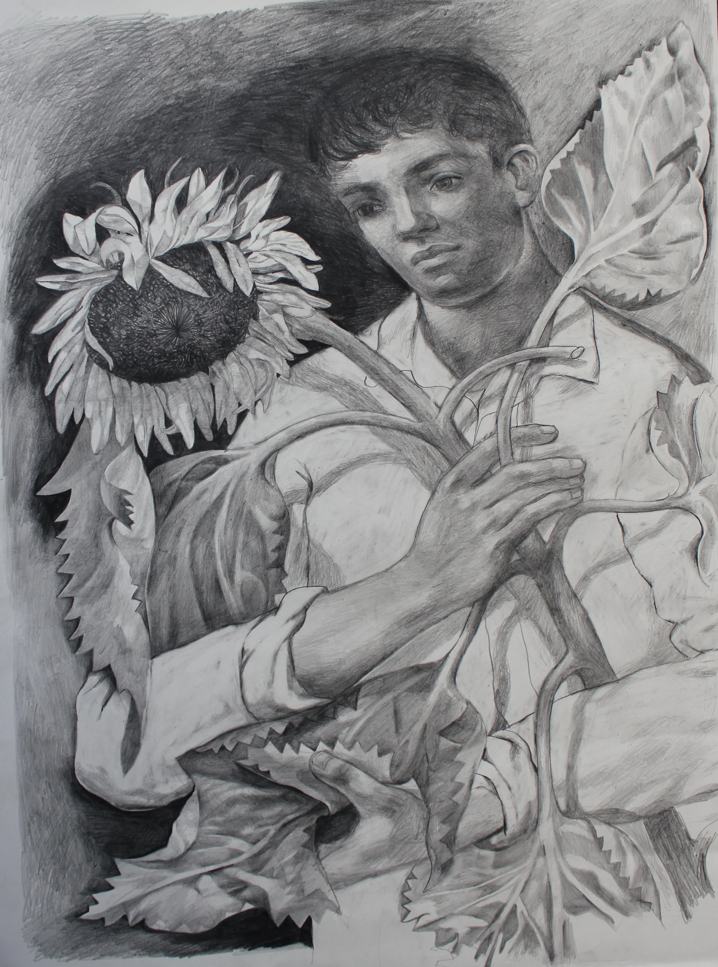Sunflower Boy
