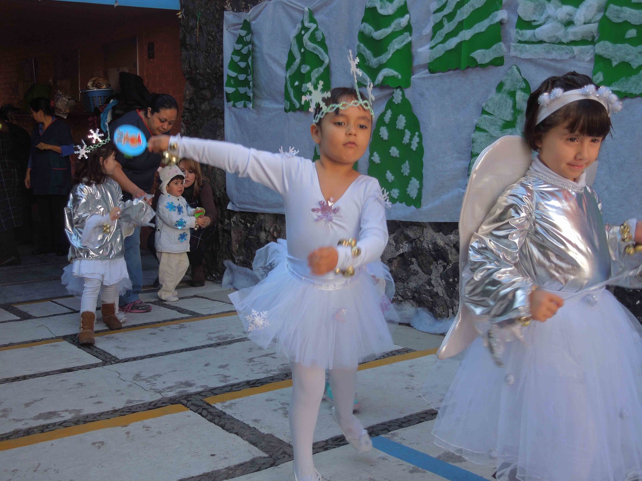 DSCN3317.jpg
