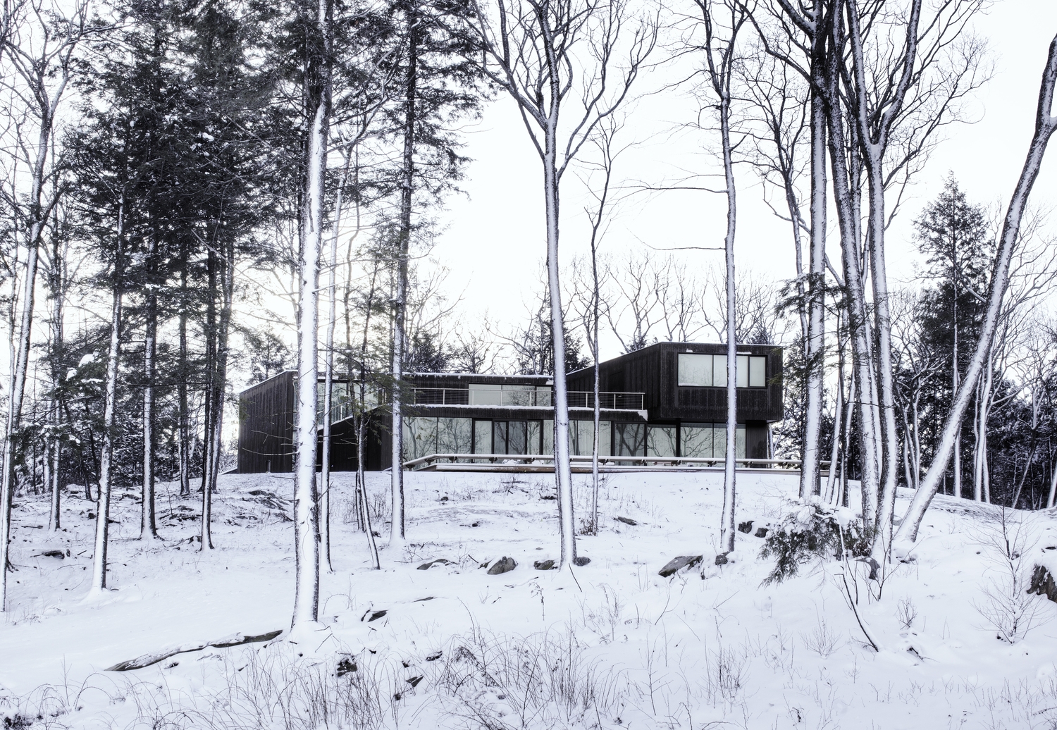 beautiful landscape acre japanese inspired glass and charred cedar house