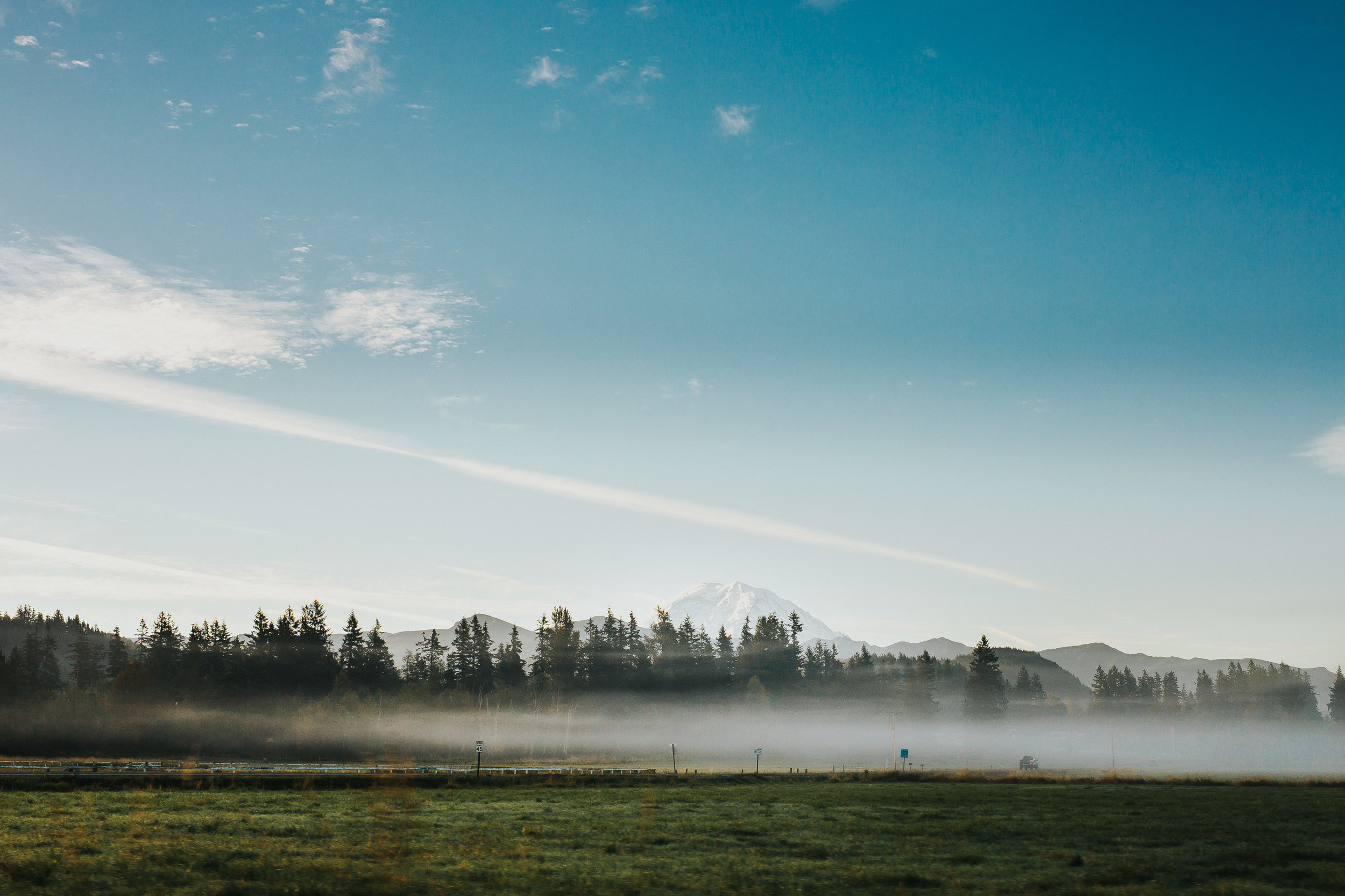  The drive up was gorgeous... with fog everywhere.