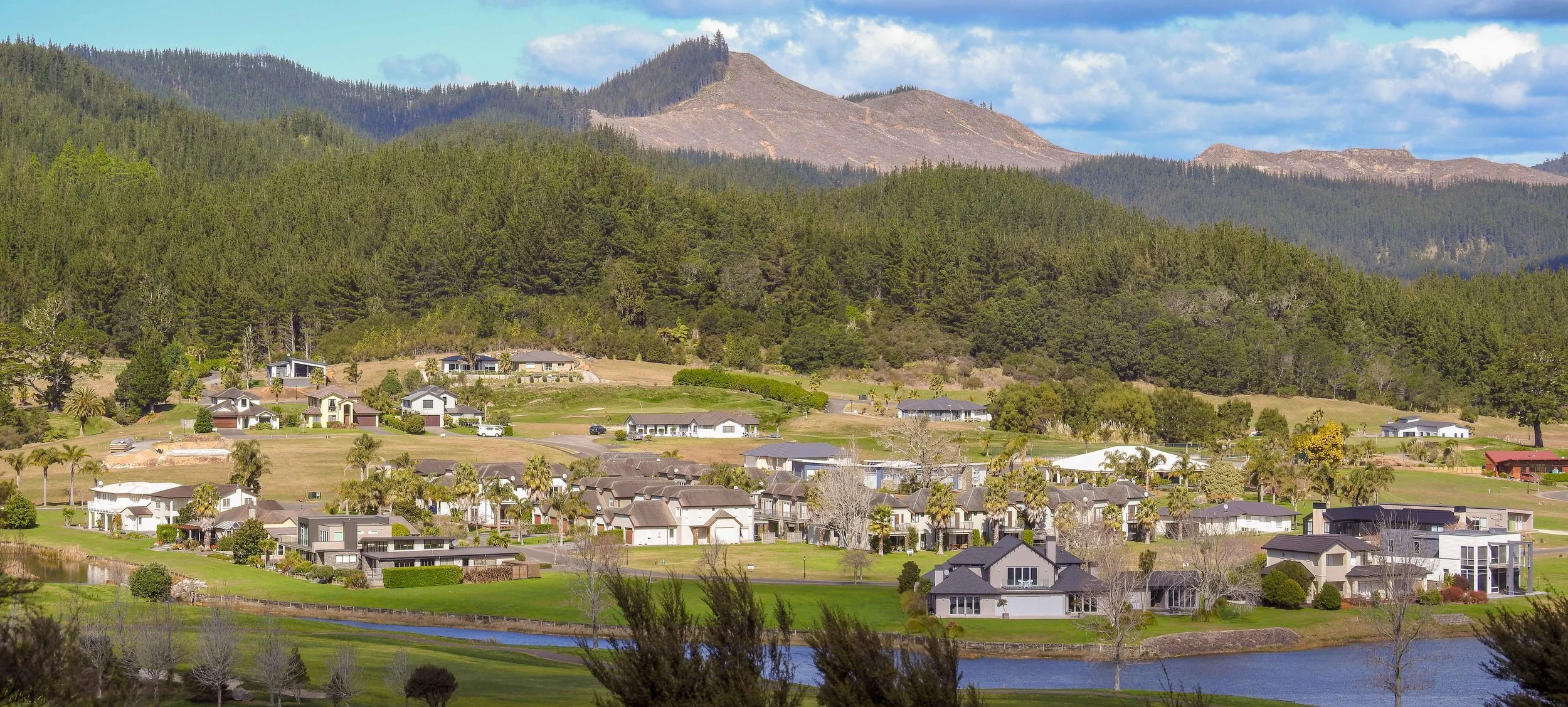 untitled (1 of 1).jpg