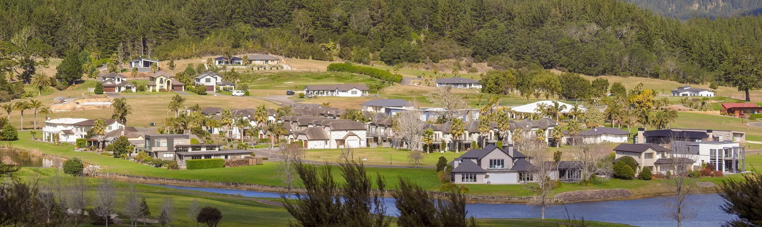 untitled (1 of 1).jpg