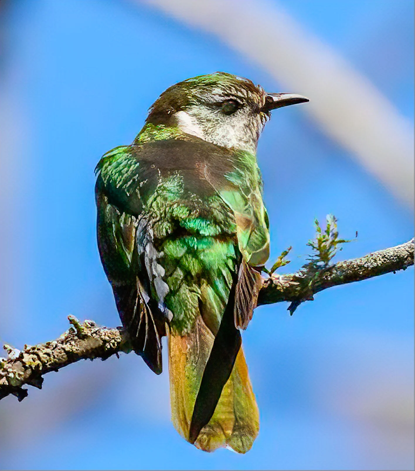 untitled (1 of 2).jpg