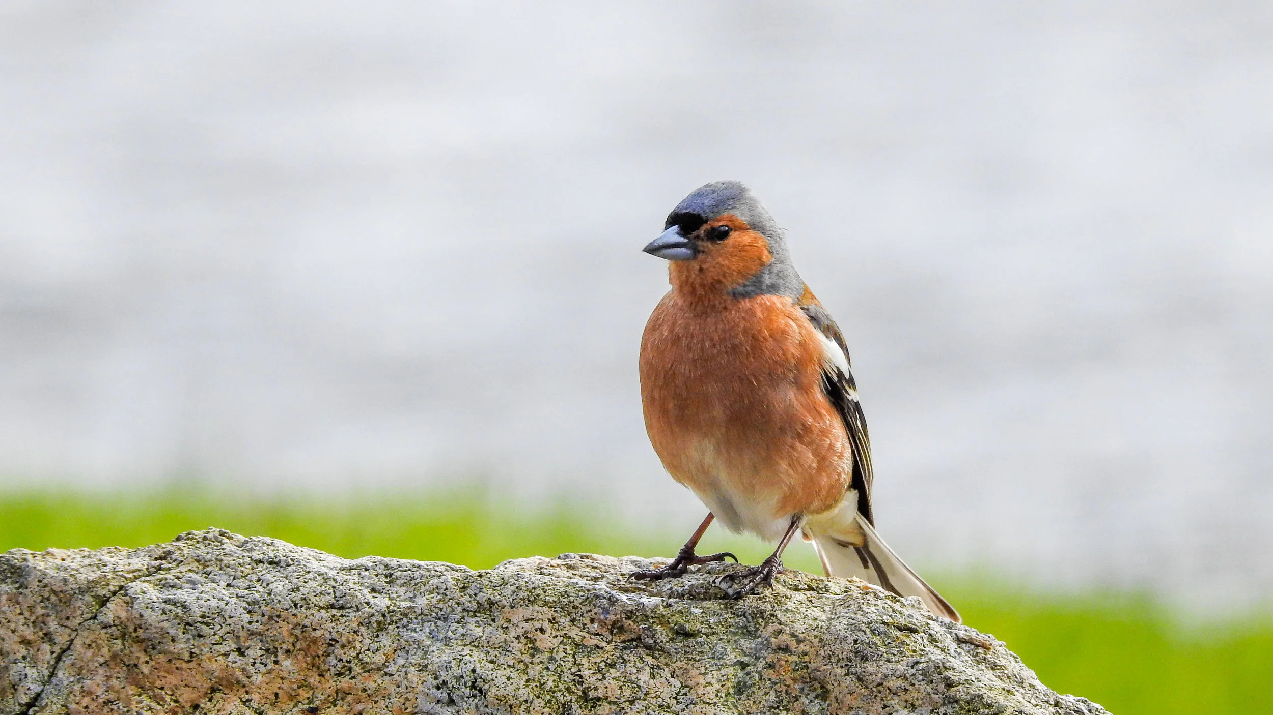 untitled (1 of 1).jpg