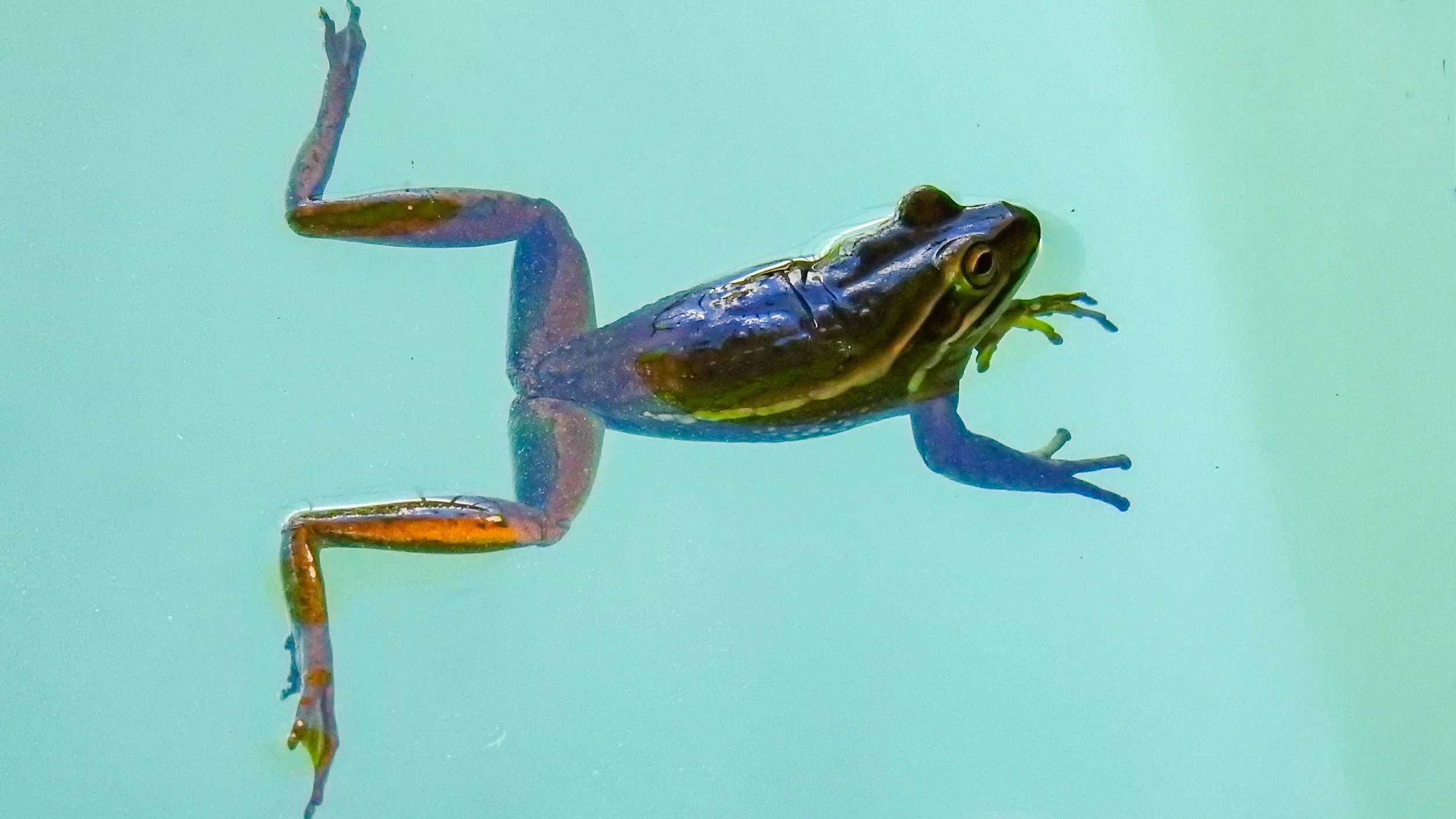 untitled (1 of 1)-2.jpg