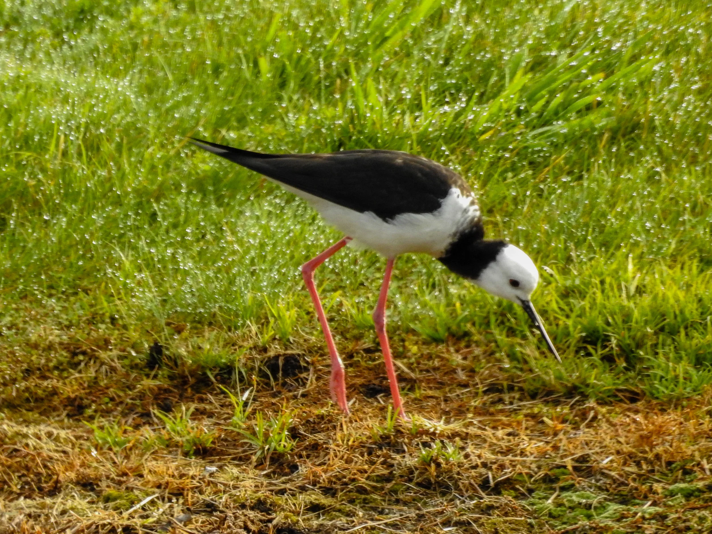 untitled (1 of 1)-3.jpg