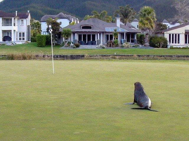 untitled (1 of 1)-4.jpg