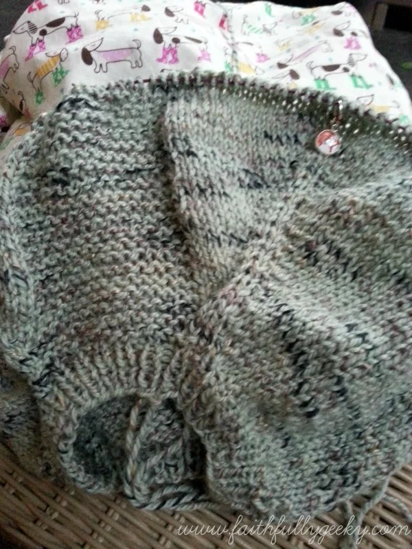 Flax in Progress.jpg